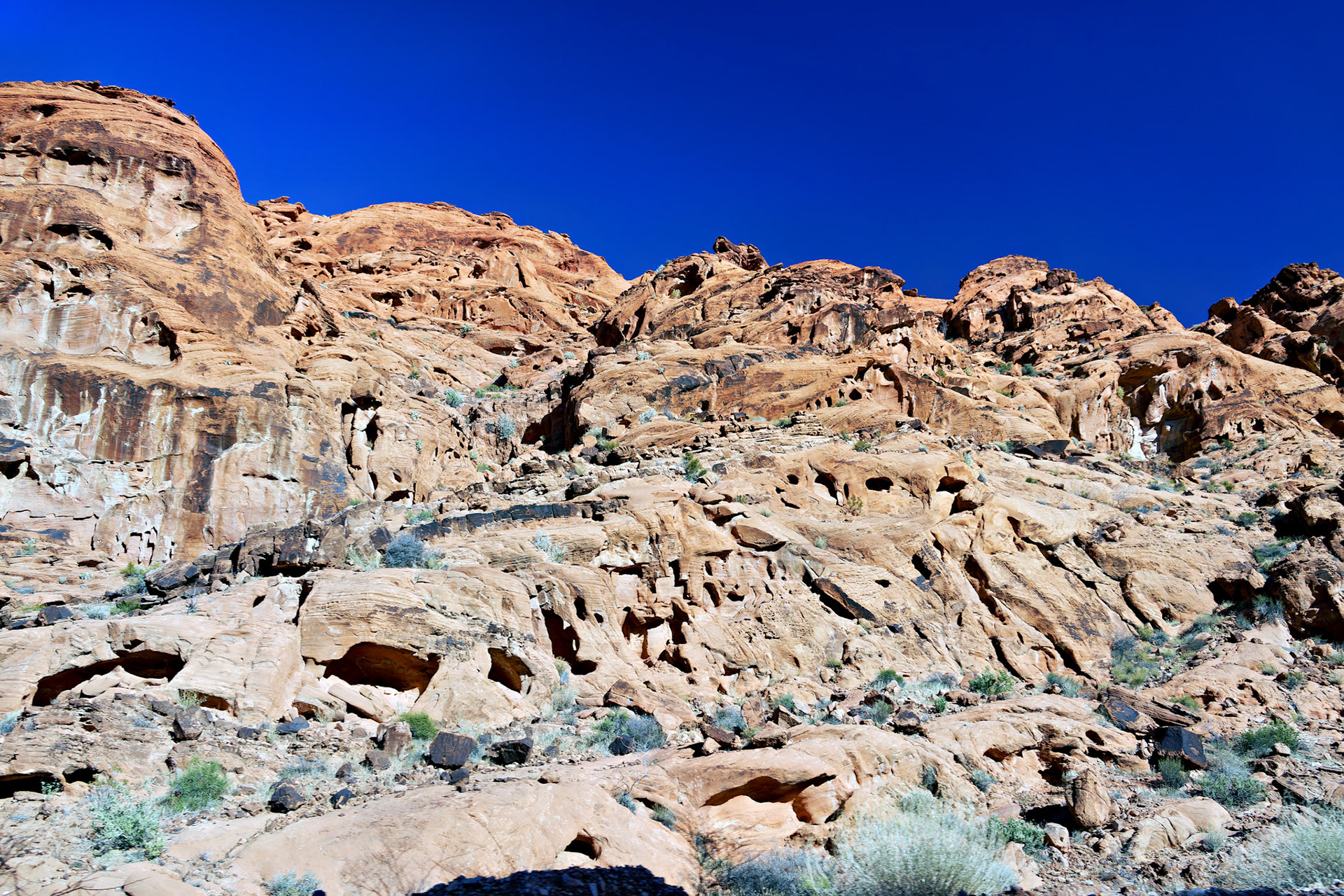 NV_Deserts_20120313_0196_PS.tif