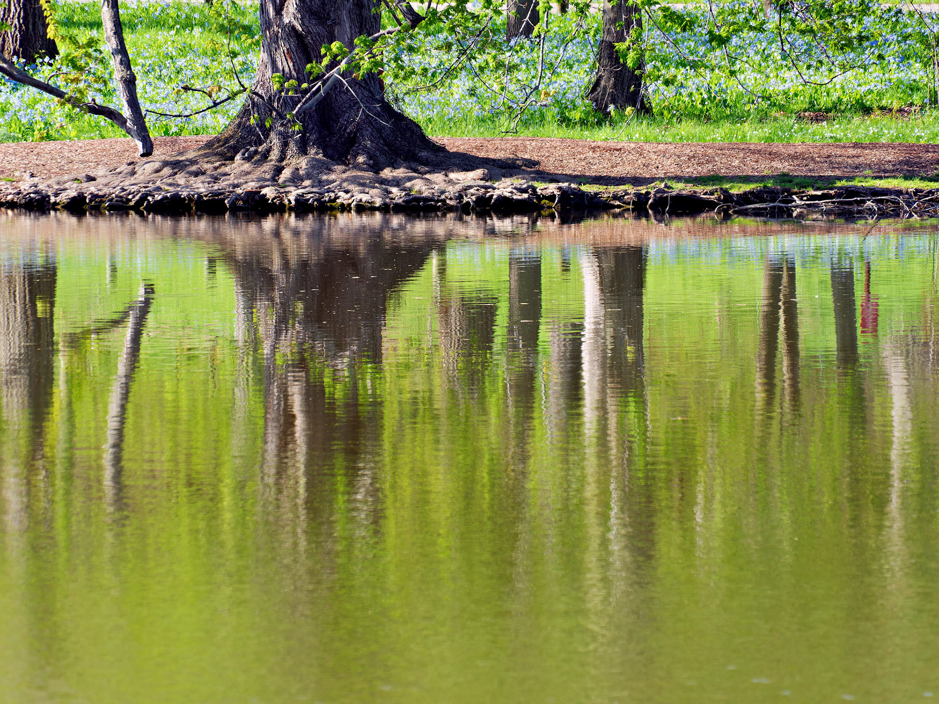 IL_Morton Arboretum_20180507_0839_PS