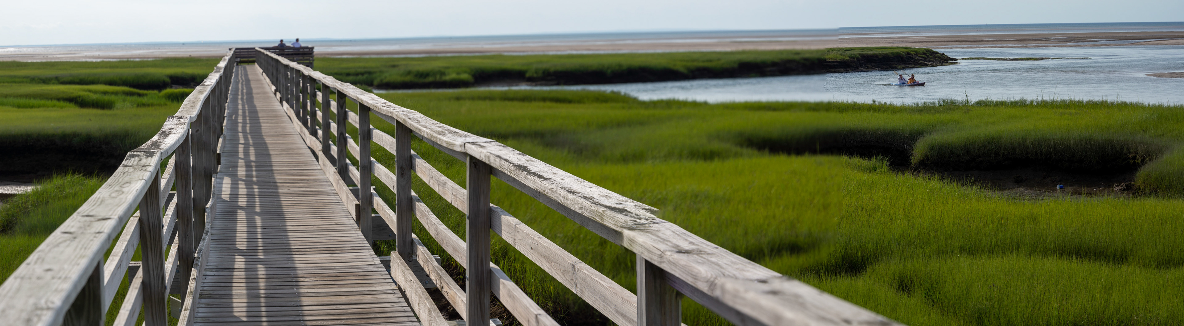 MA_CapeCod_20150717_0247a_PS-Pano