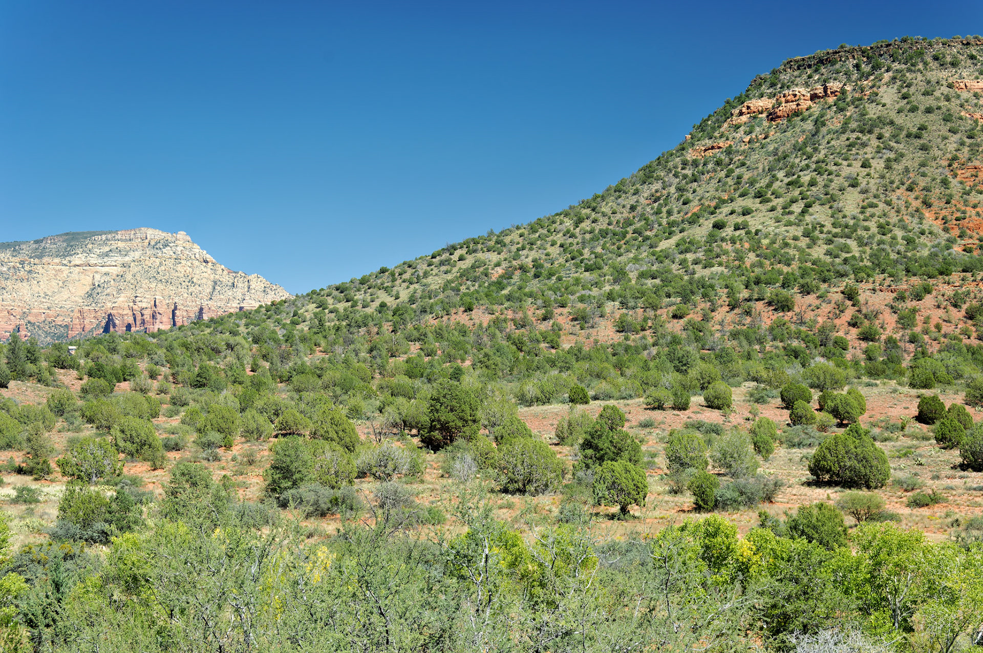 AZ_20060917_0067_PS