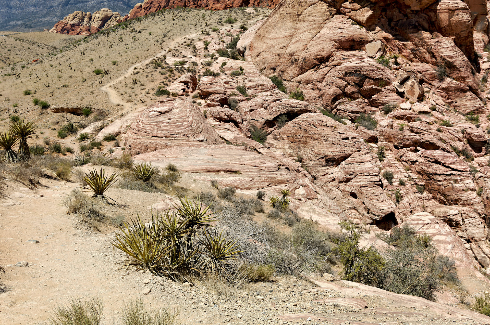NV_20070531_0124_PS.tif