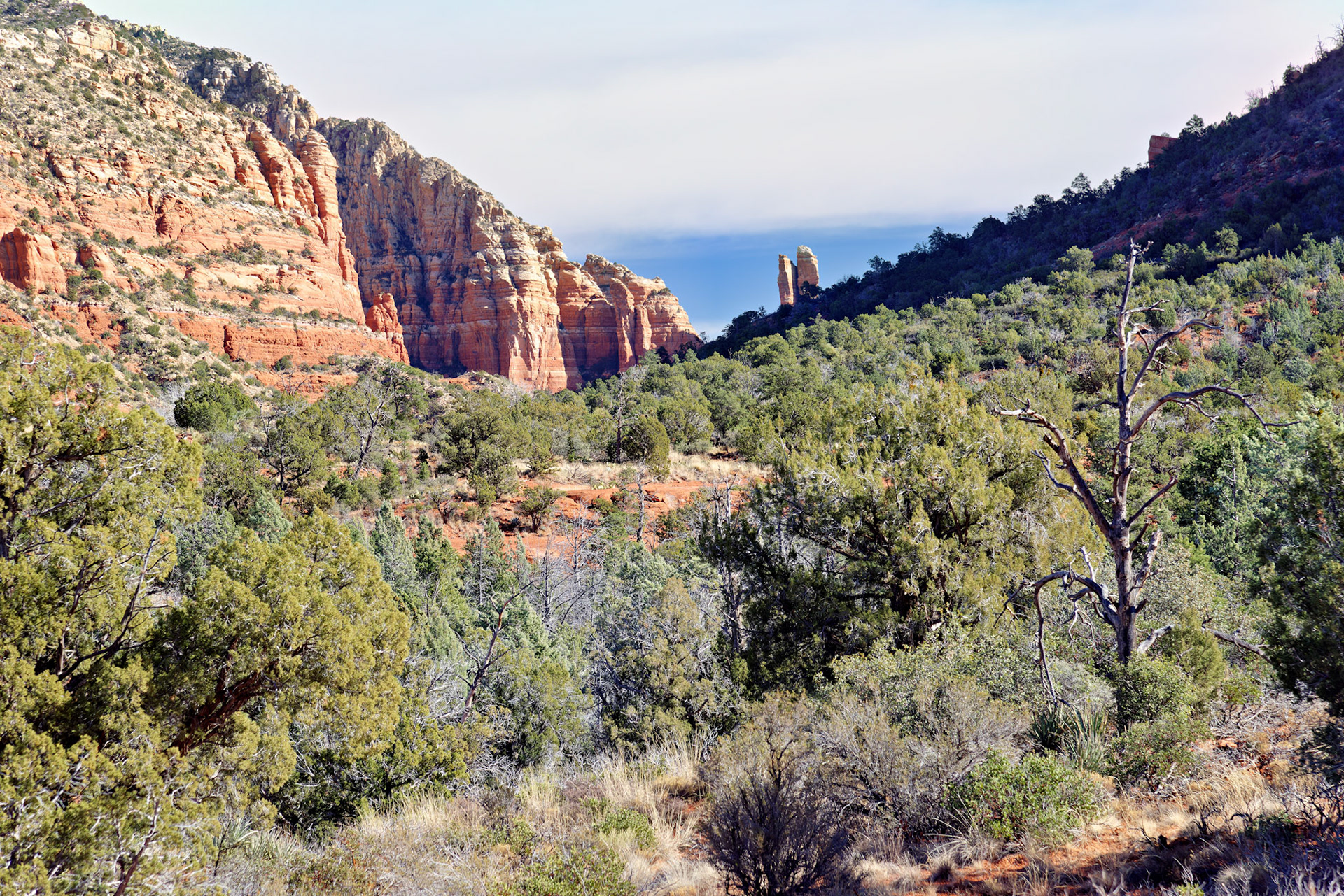 AZ_20121211_0471_PS.dng