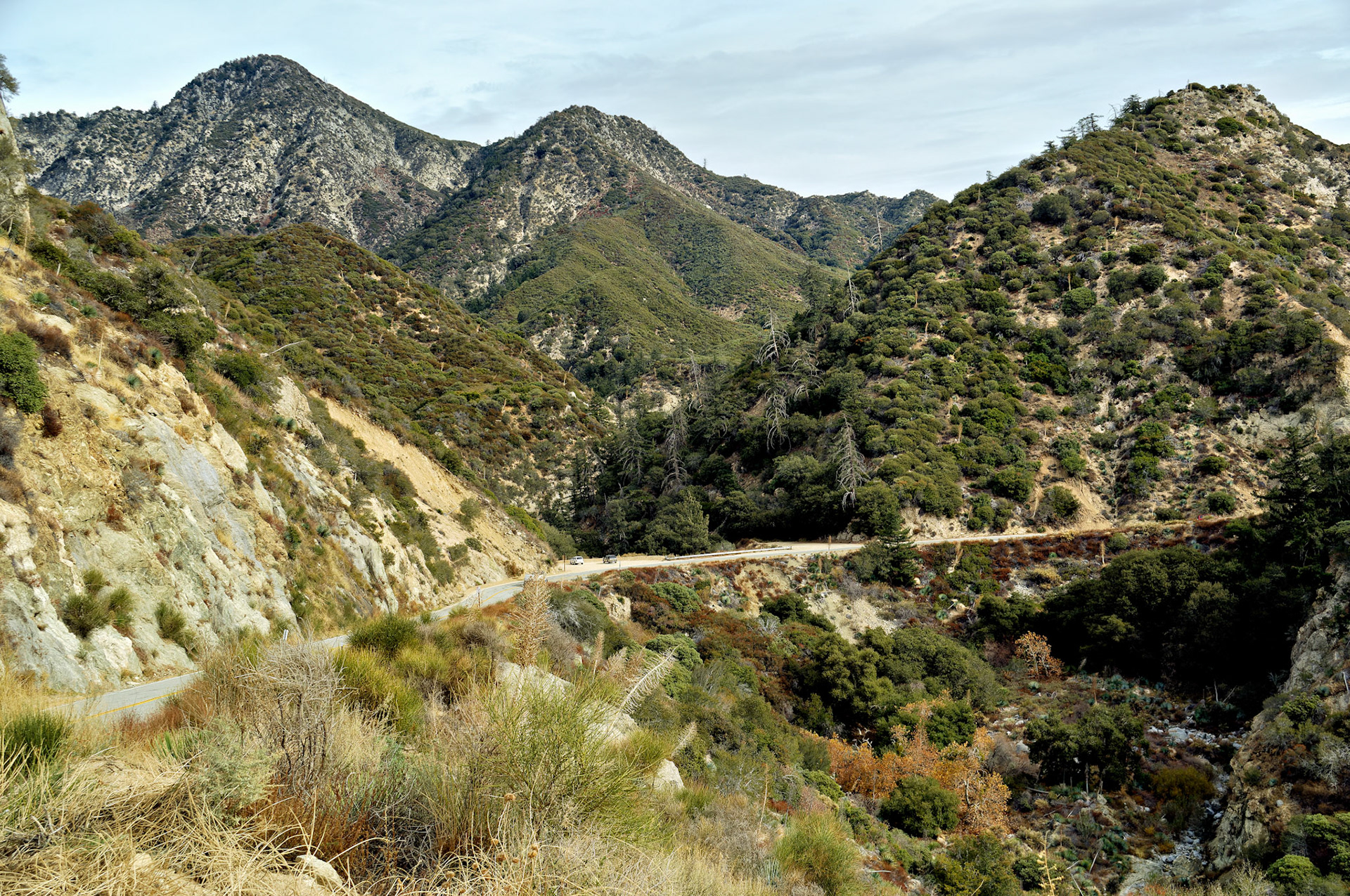 CA_LA_20051220_0258_PS