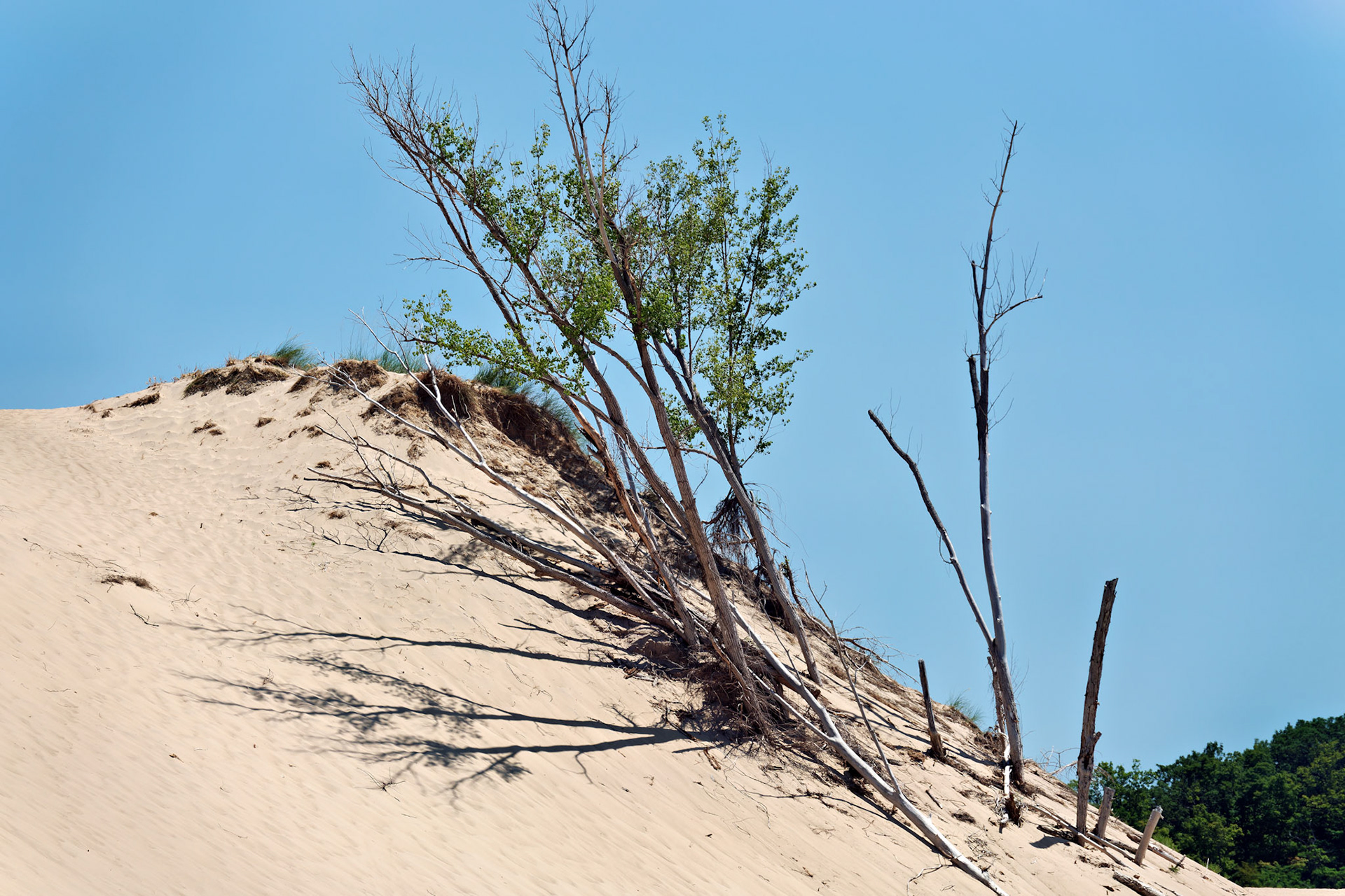 MI_New BuffaloArea_20160808_0133_PS
