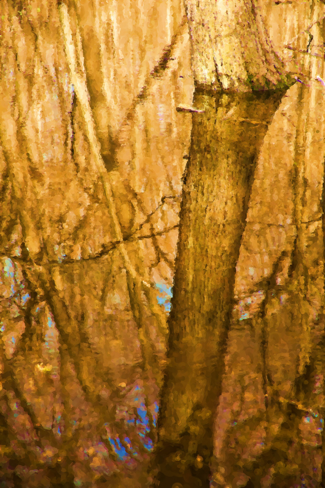 Painting__DSC2088-17_PaintingDWCIntense