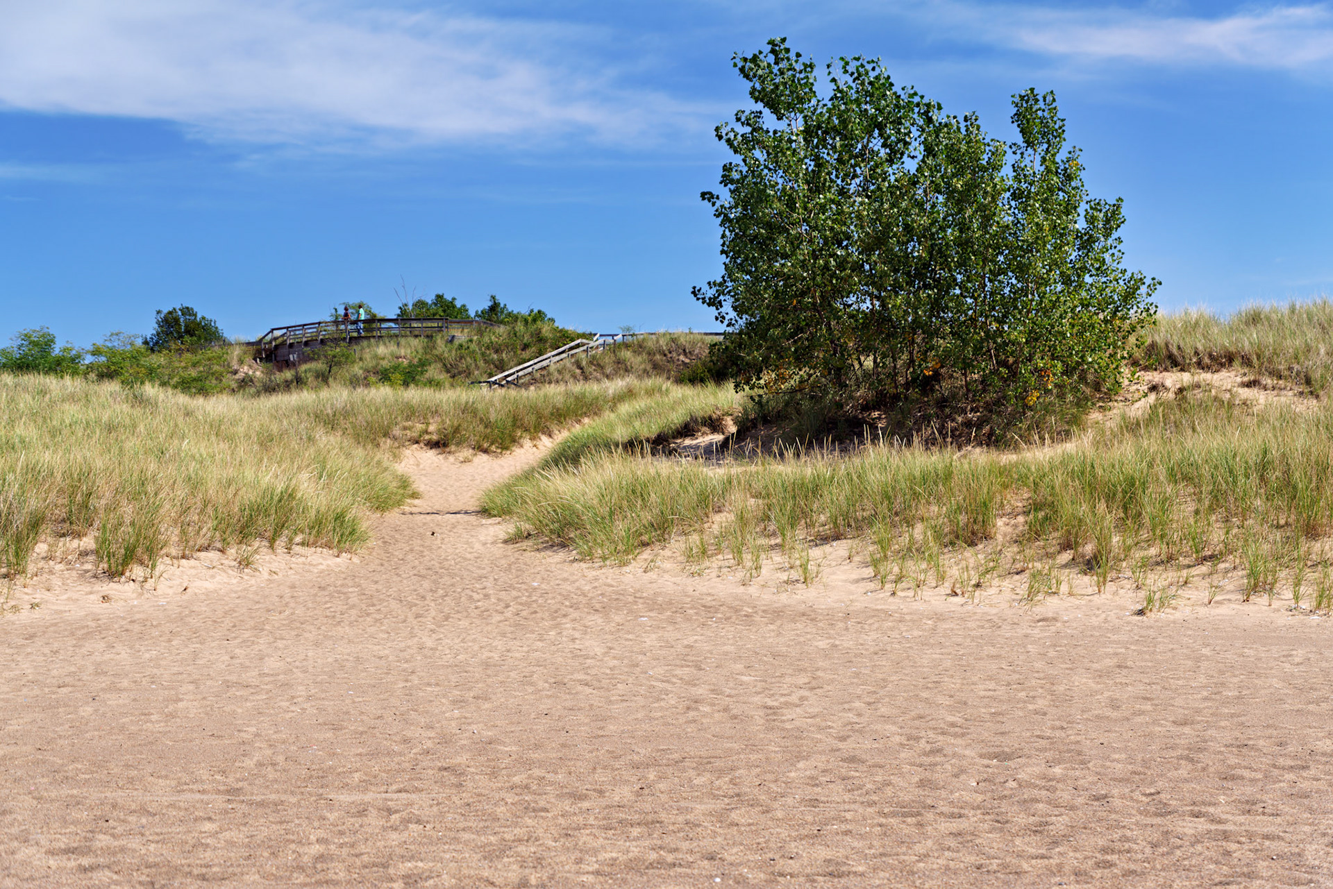 MI_New BuffaloArea_20190907_0309_PS