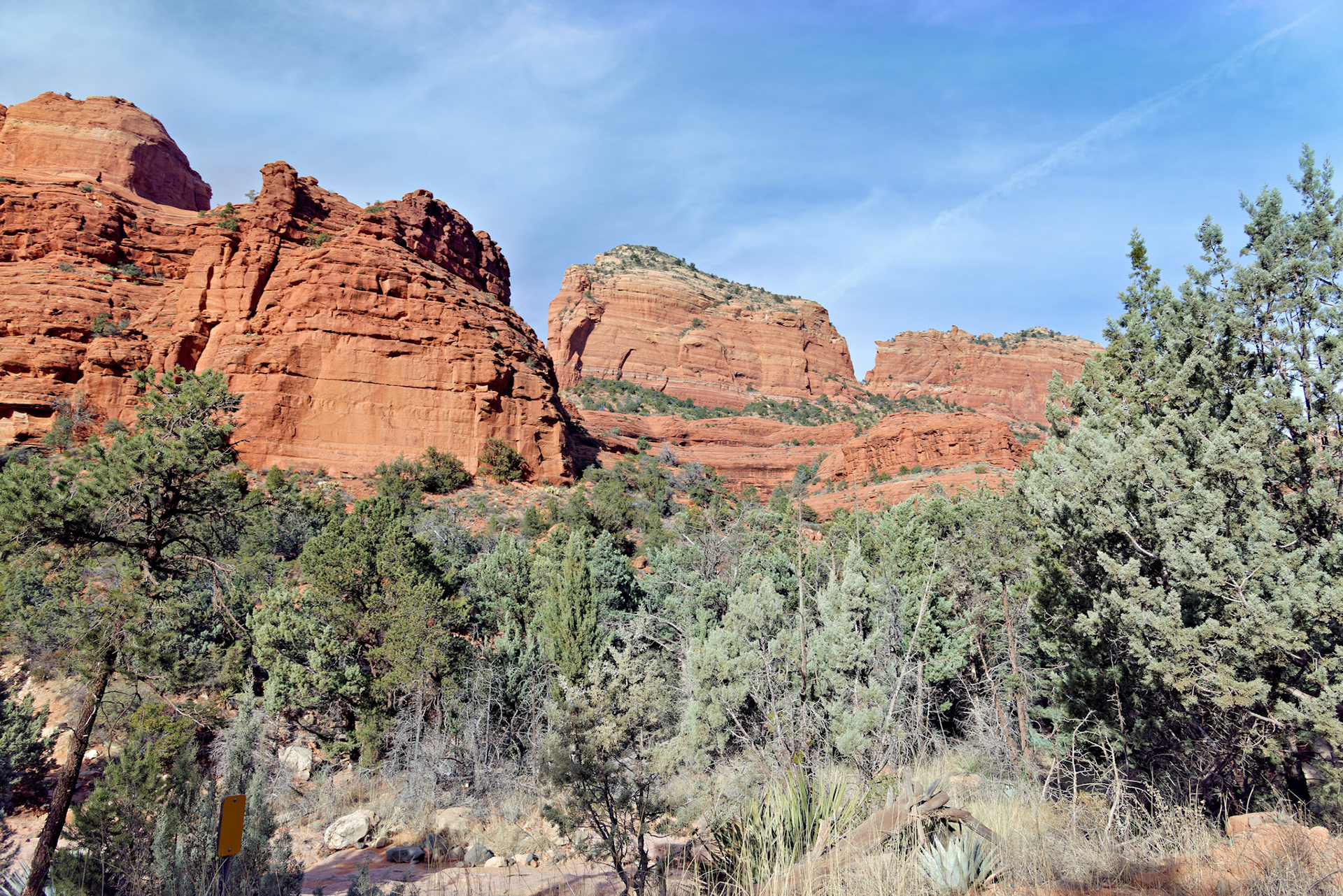 AZ_20121211_0499_PS.dng