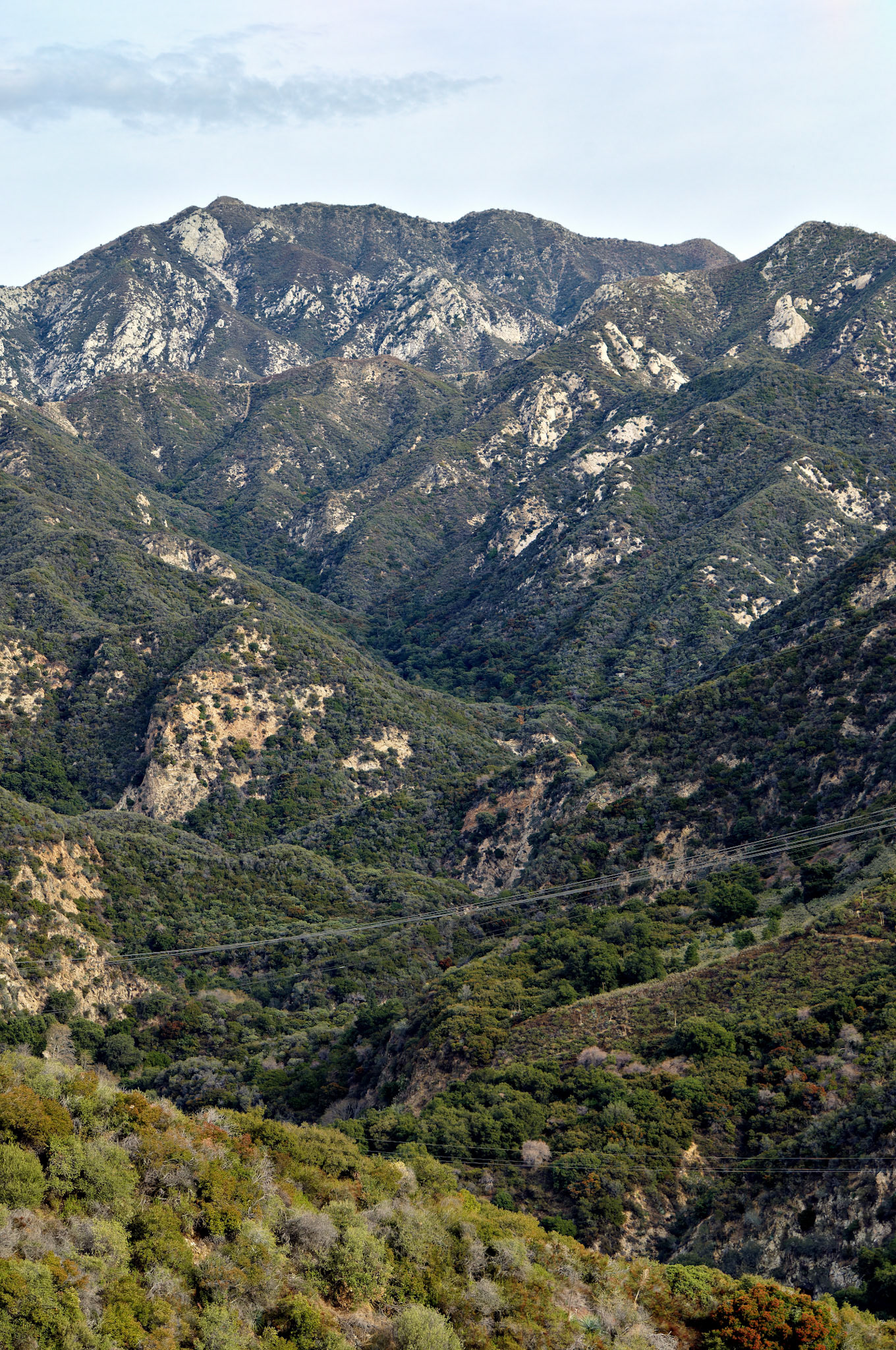 CA_LA_20051220_0213_PS