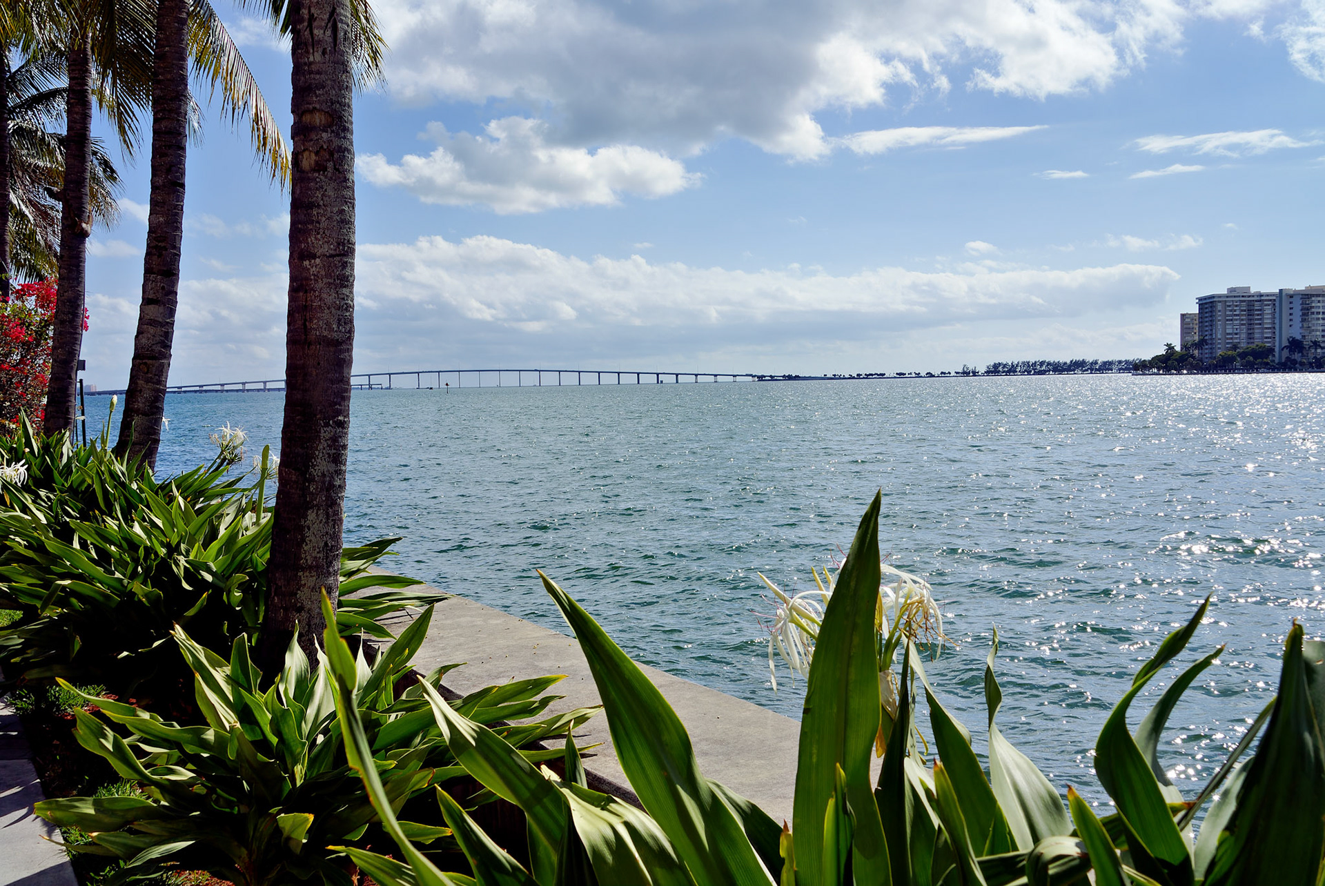 FL_Miami_20120214_0079_PS.tif