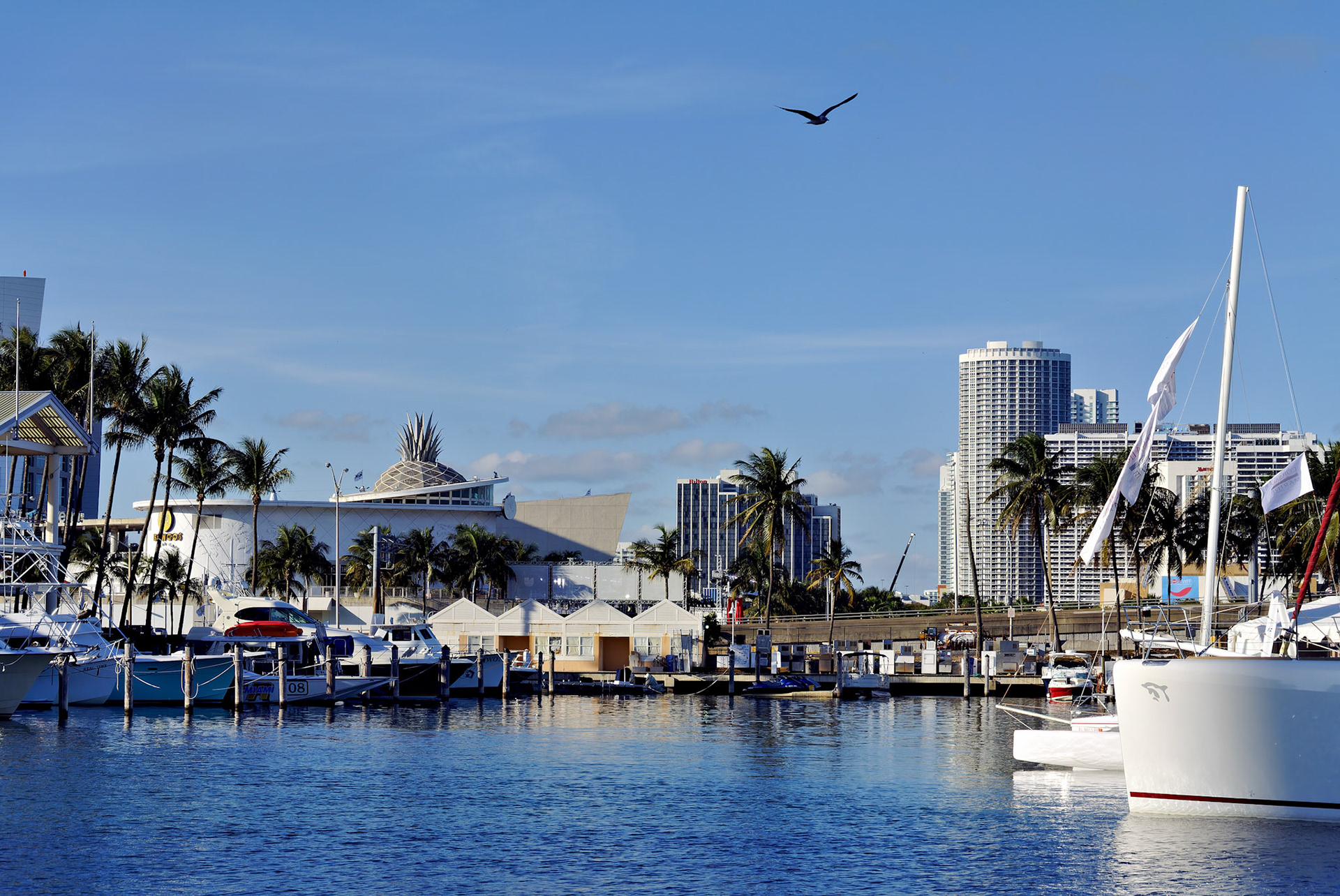 FL_Miami_20120215_0143_PS