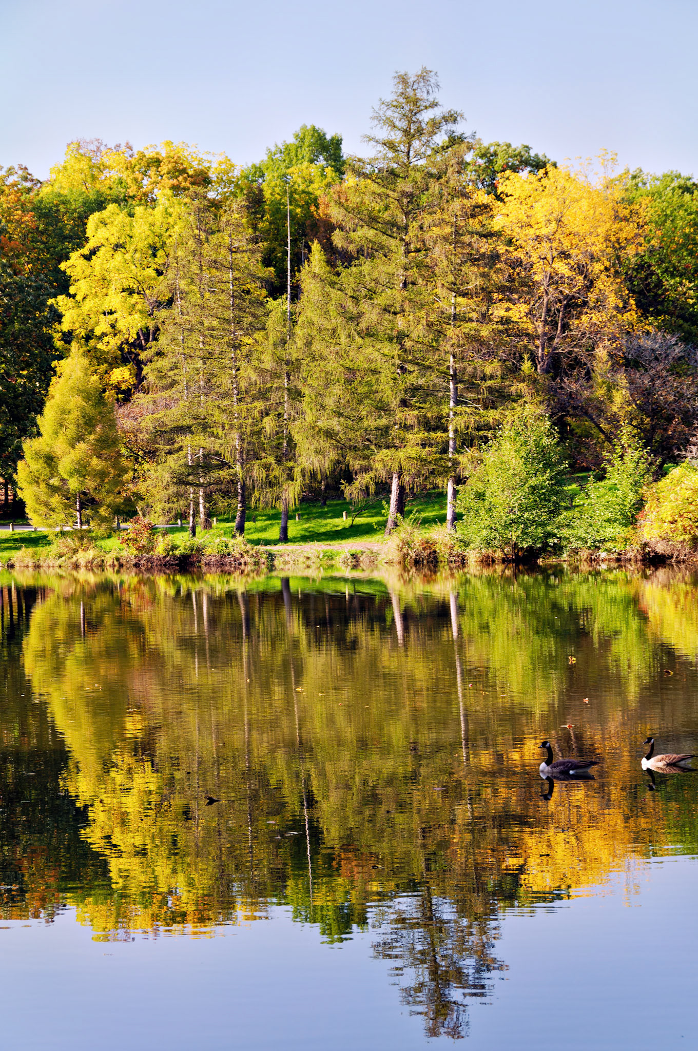 IL_Morton Arboretum_20081011_0319_PS
