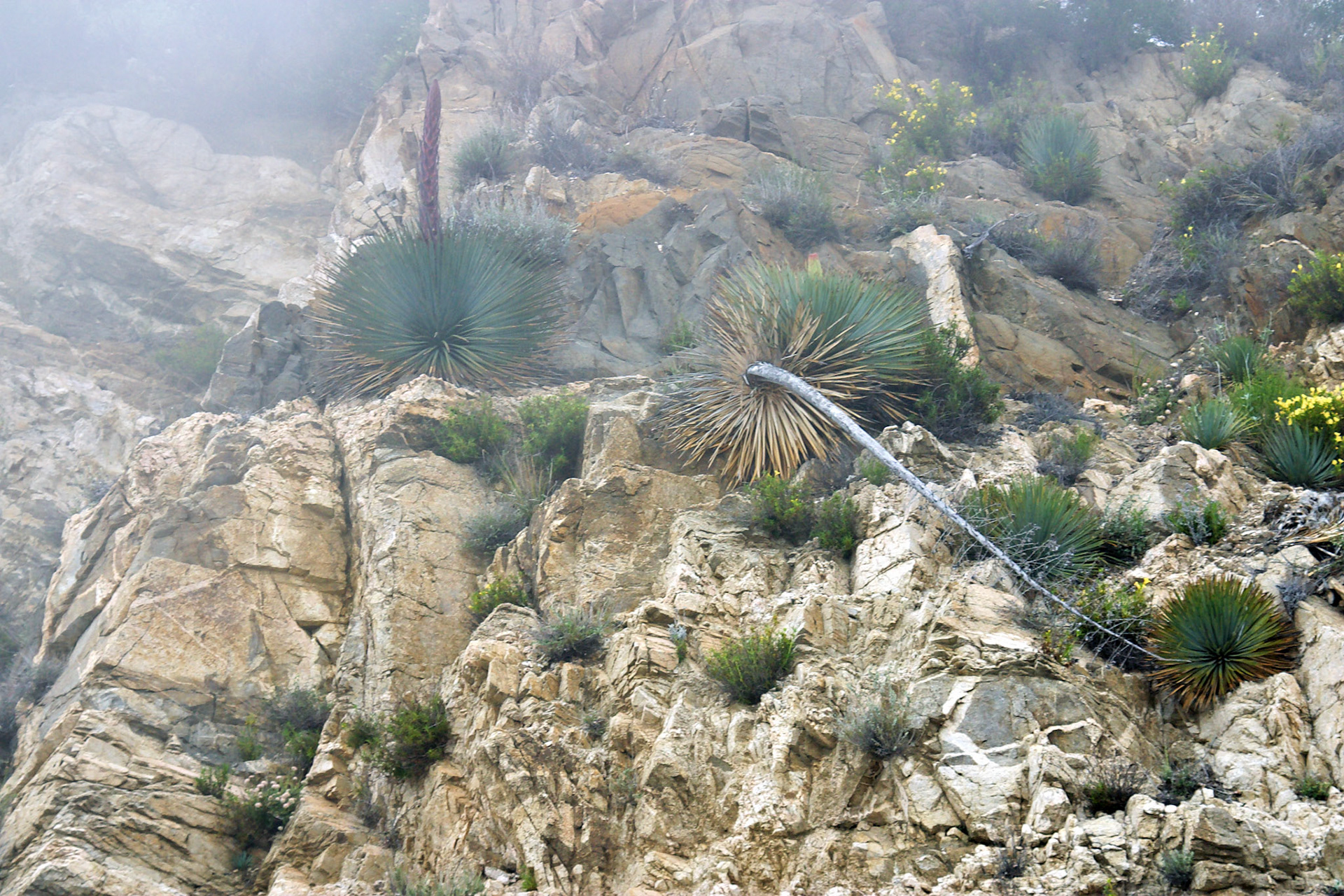 CA_LA_20030514_0027_PS