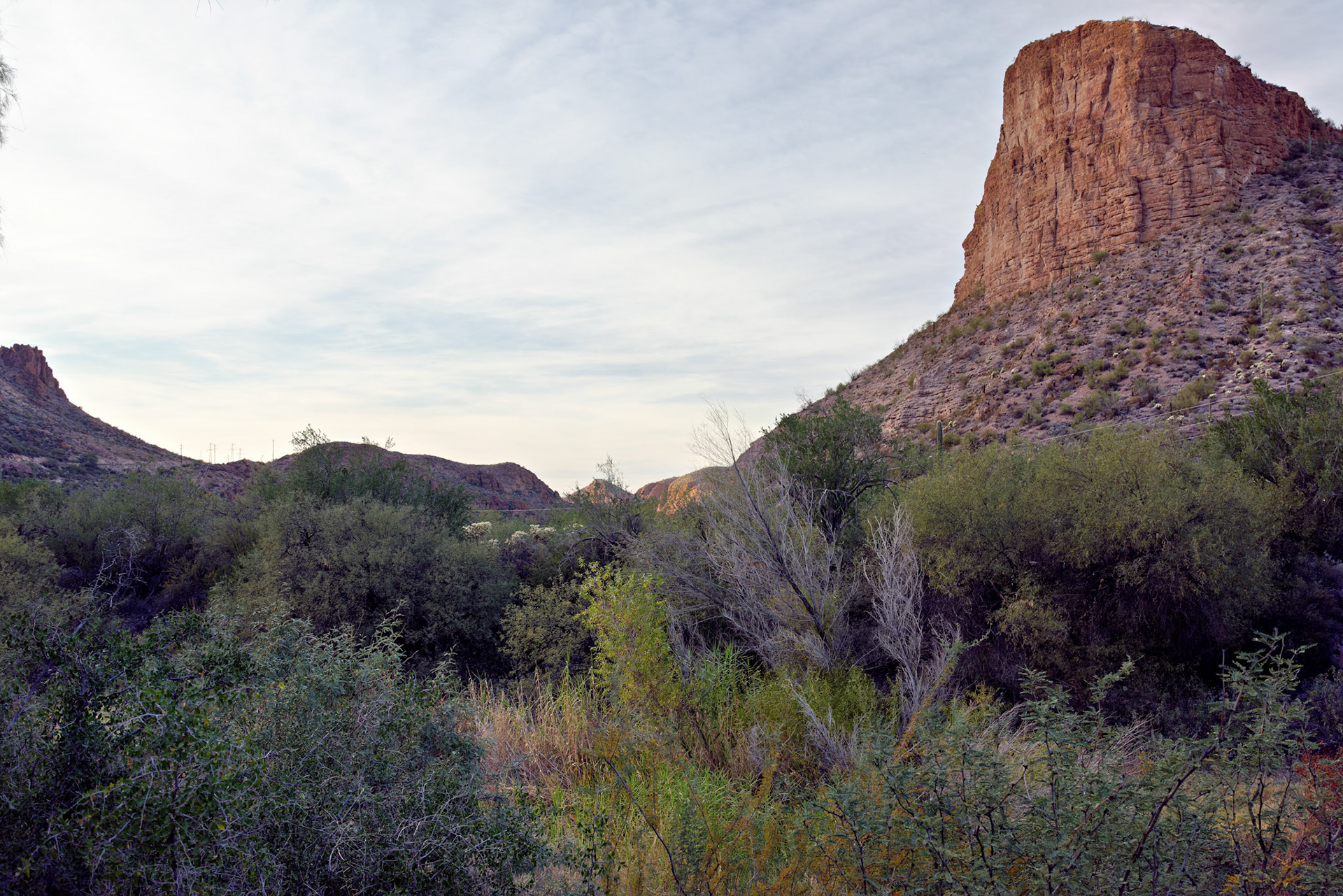 AZ_20121209_0206_PS.dng