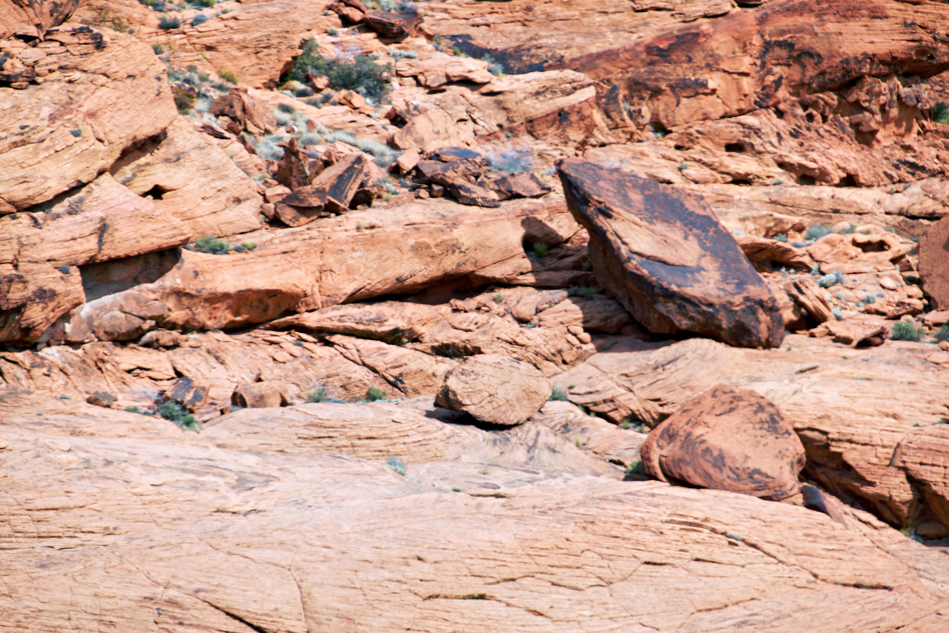 NV_Deserts_20120312_0059_PS.tif
