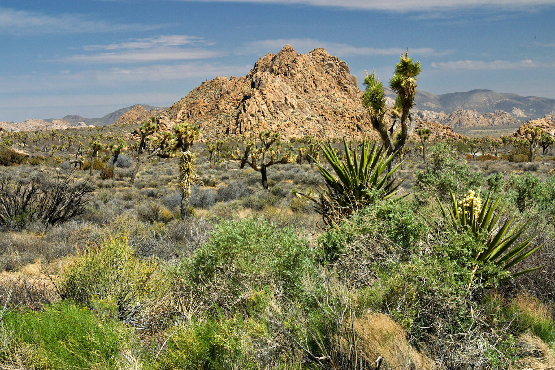 CA_LA_20030514_0059_PS