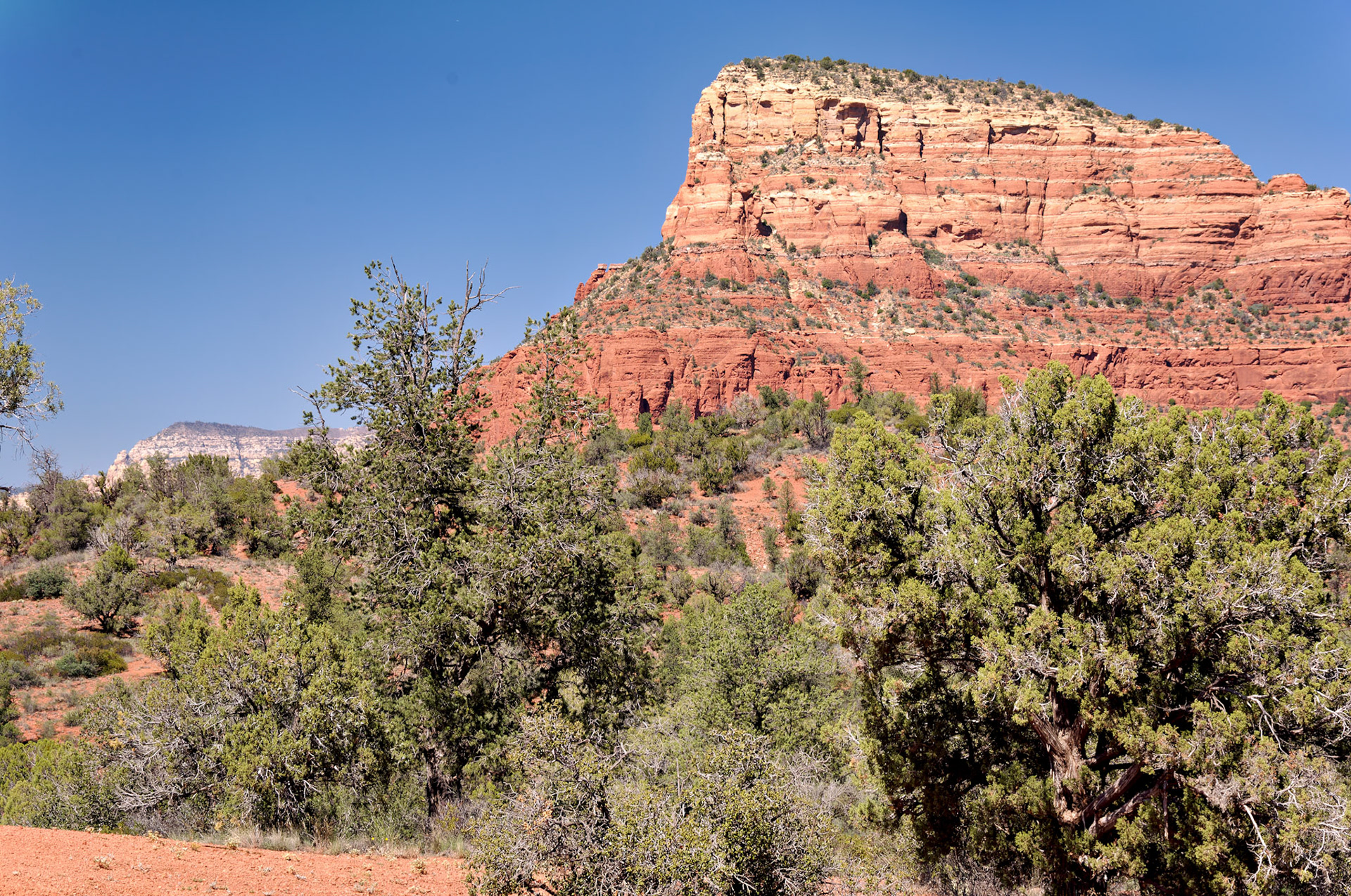 AZ_20060917_0087_PS.dng