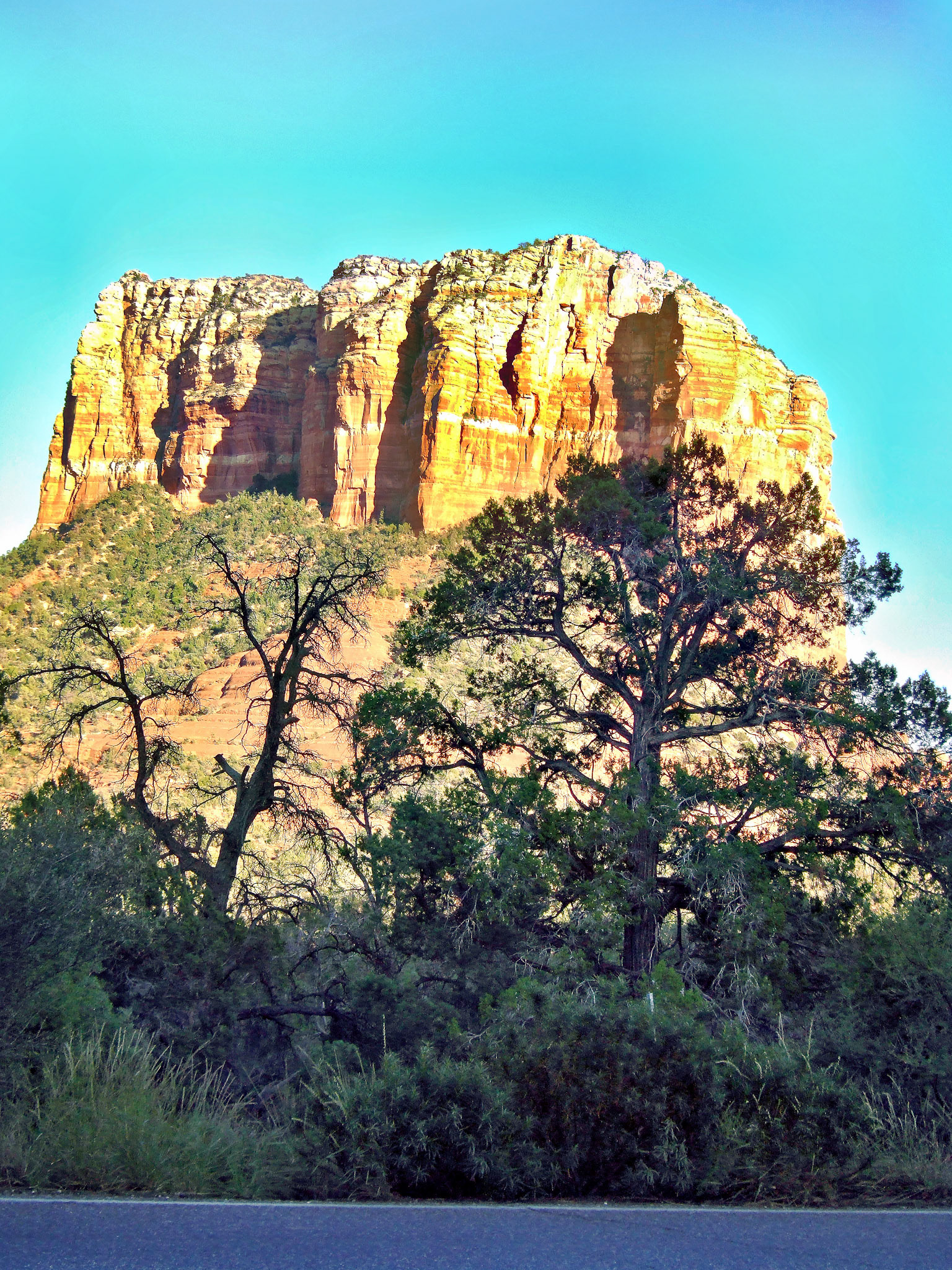 AZ_20060917_0792_PS.dng