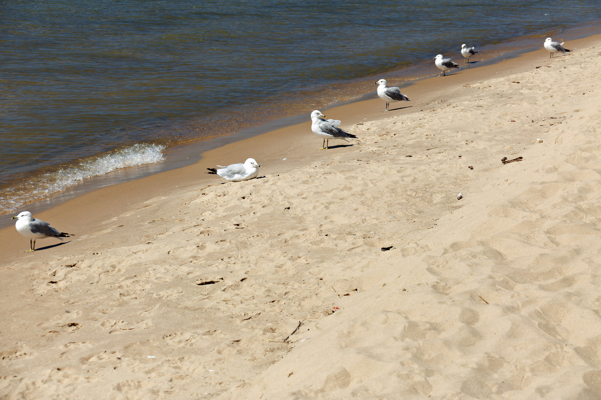 MI_LakeMichigan_20160810_0032_PS