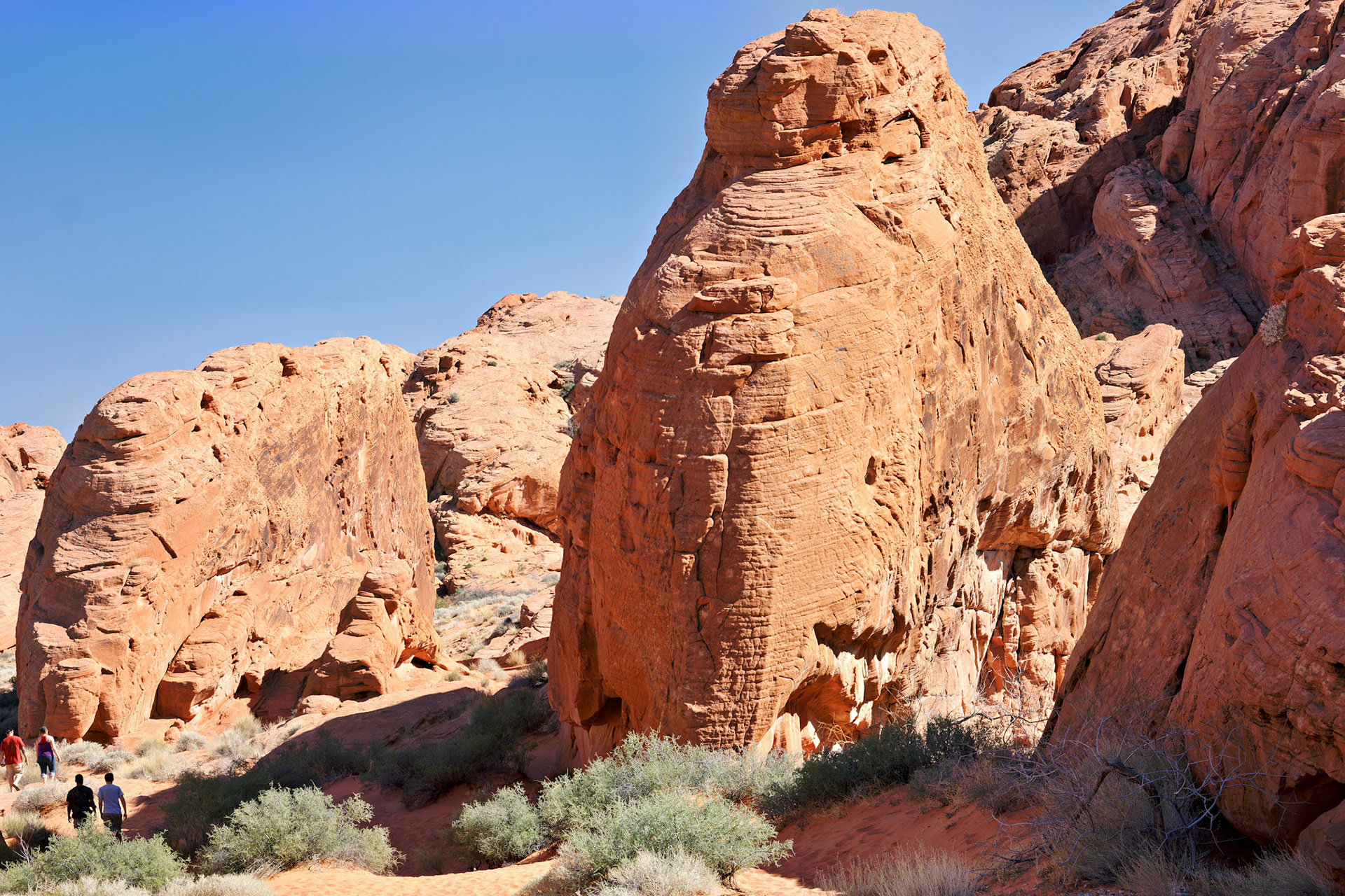 NV_Deserts_20120313_0134_PS.tif