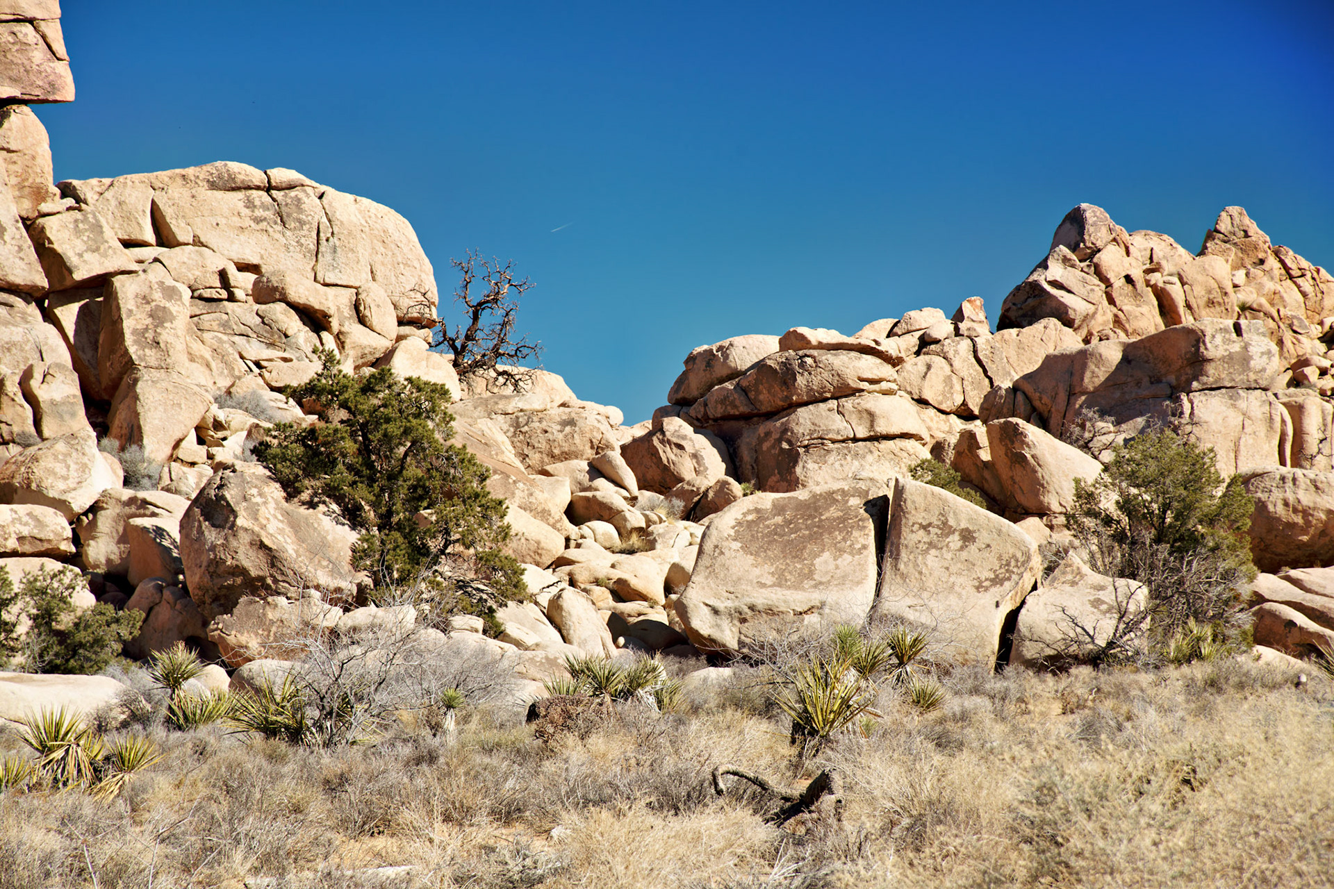 CA_PalmSprings_20090115_0213_PS