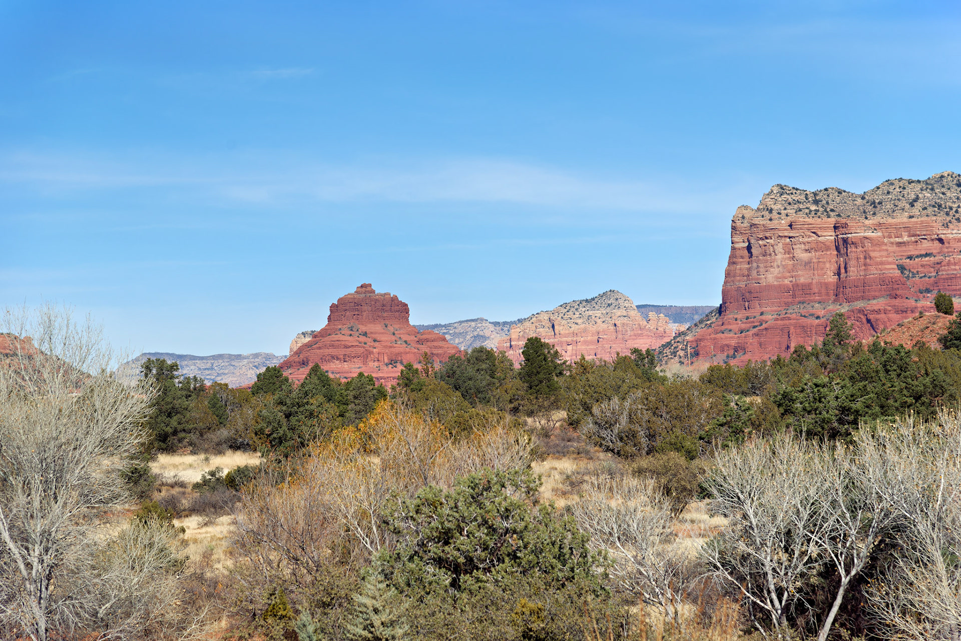 AZ_20121211_0579_PS.dng