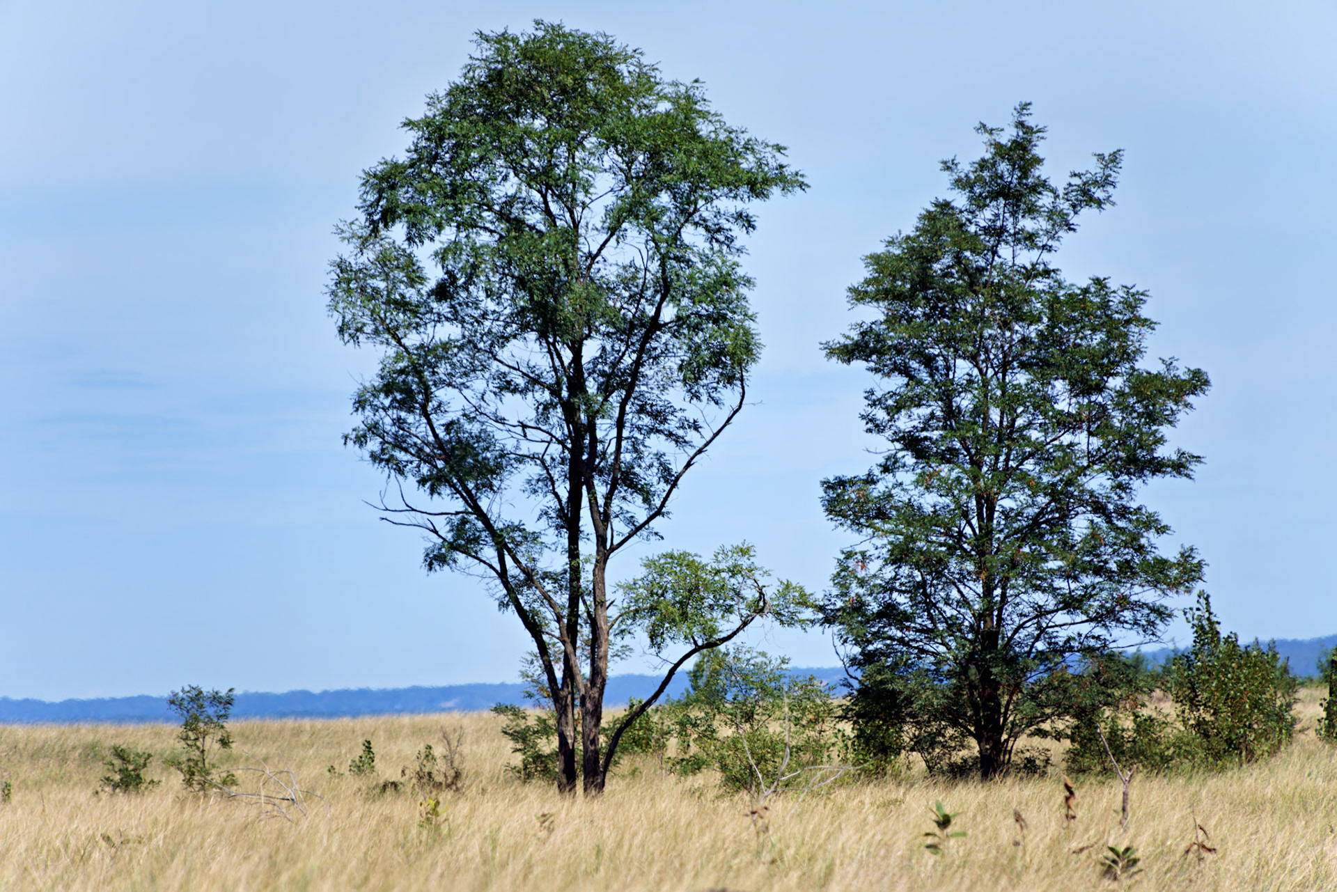 MI_New BuffaloArea_20190907_0301_PS