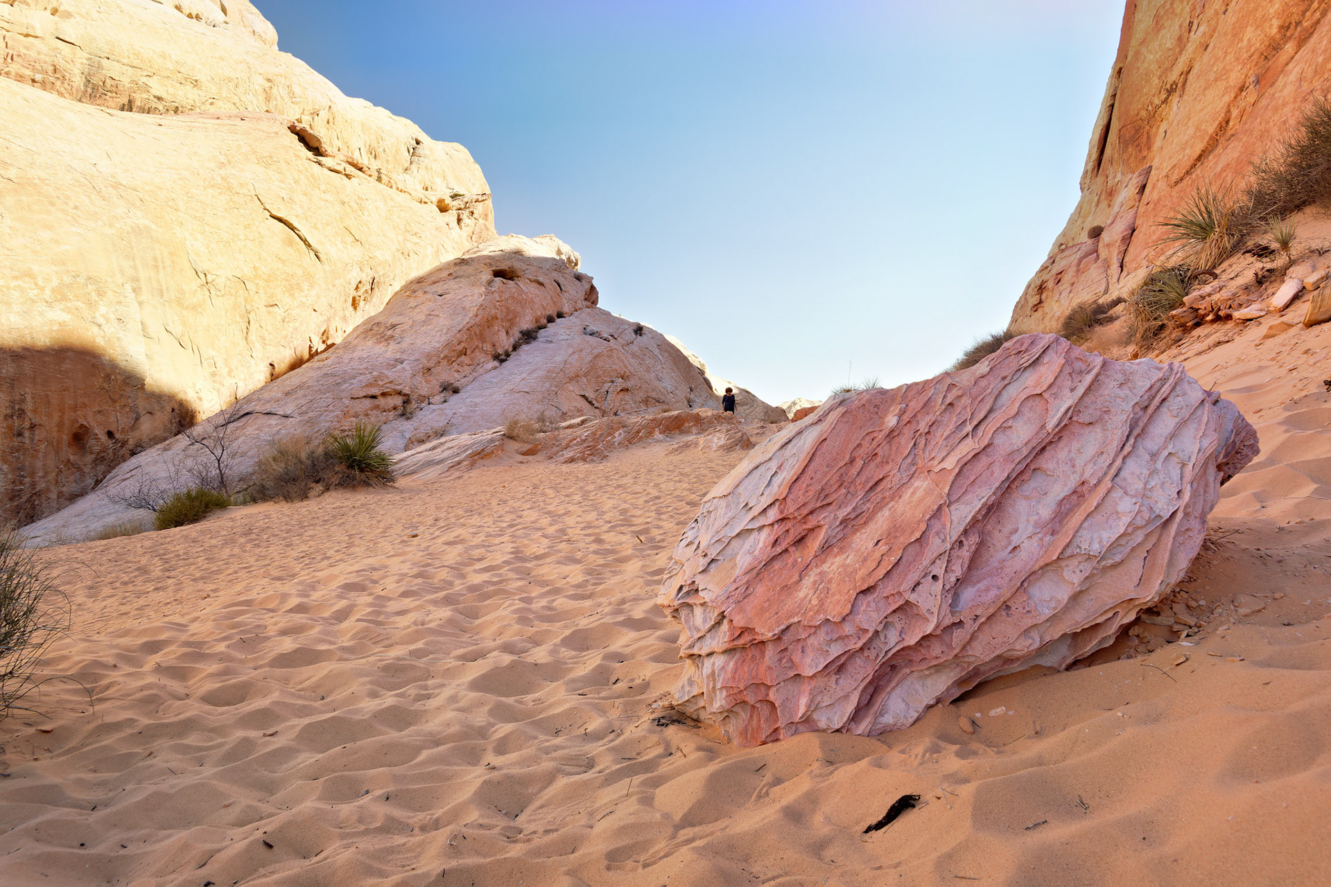 NV_Deserts_20120313_0162_PS.tif