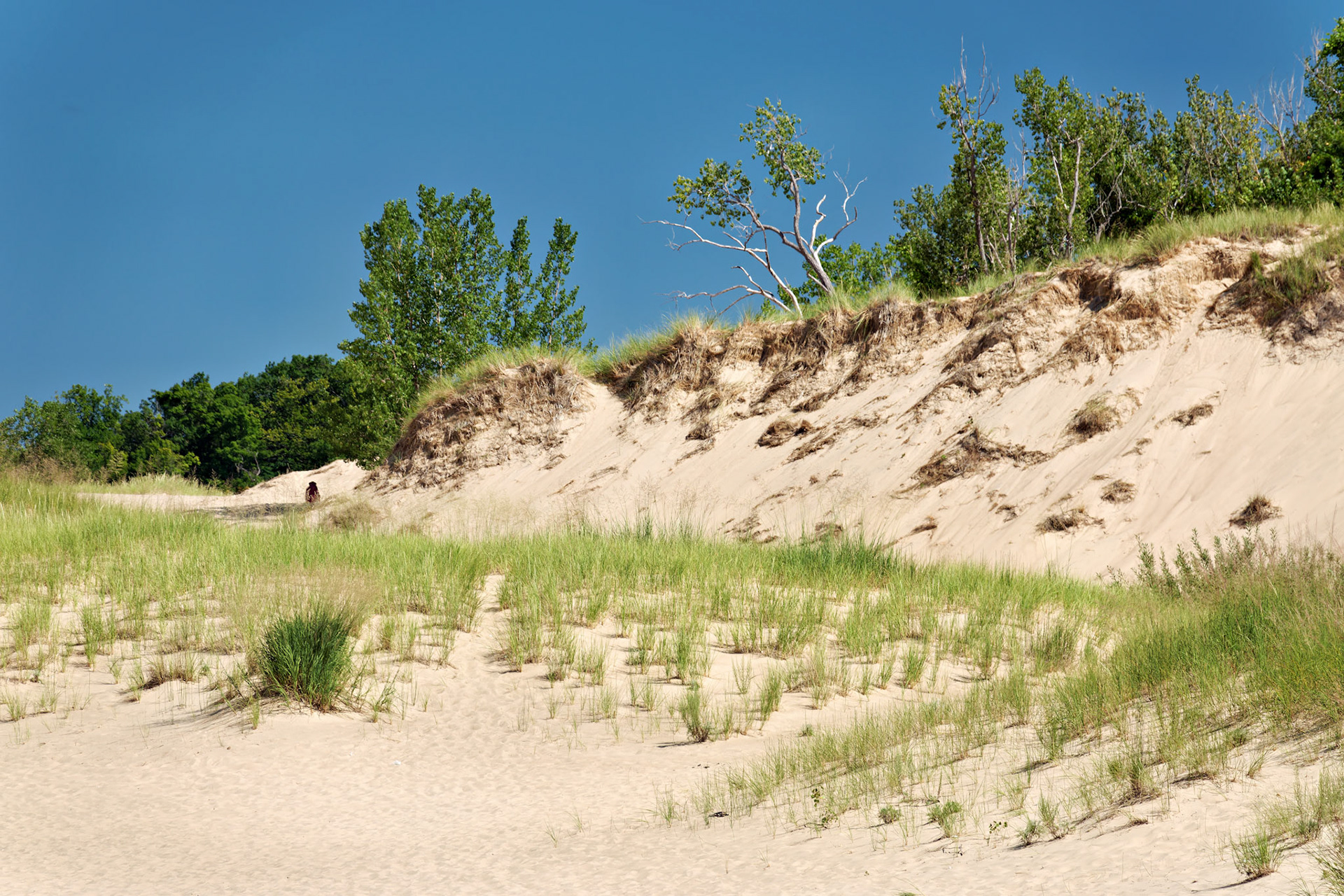 MI_New BuffaloArea_20160808_0166_PS