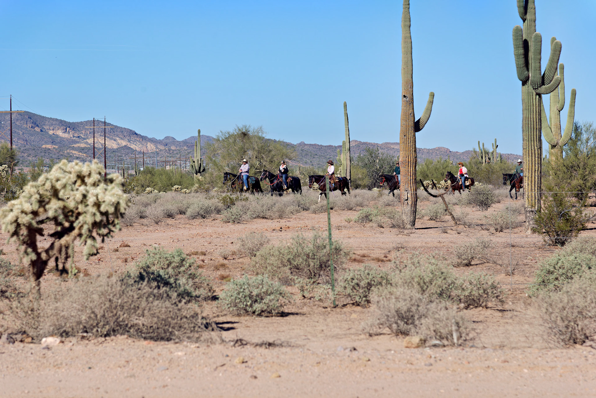 AZ_20121209_0298_PS