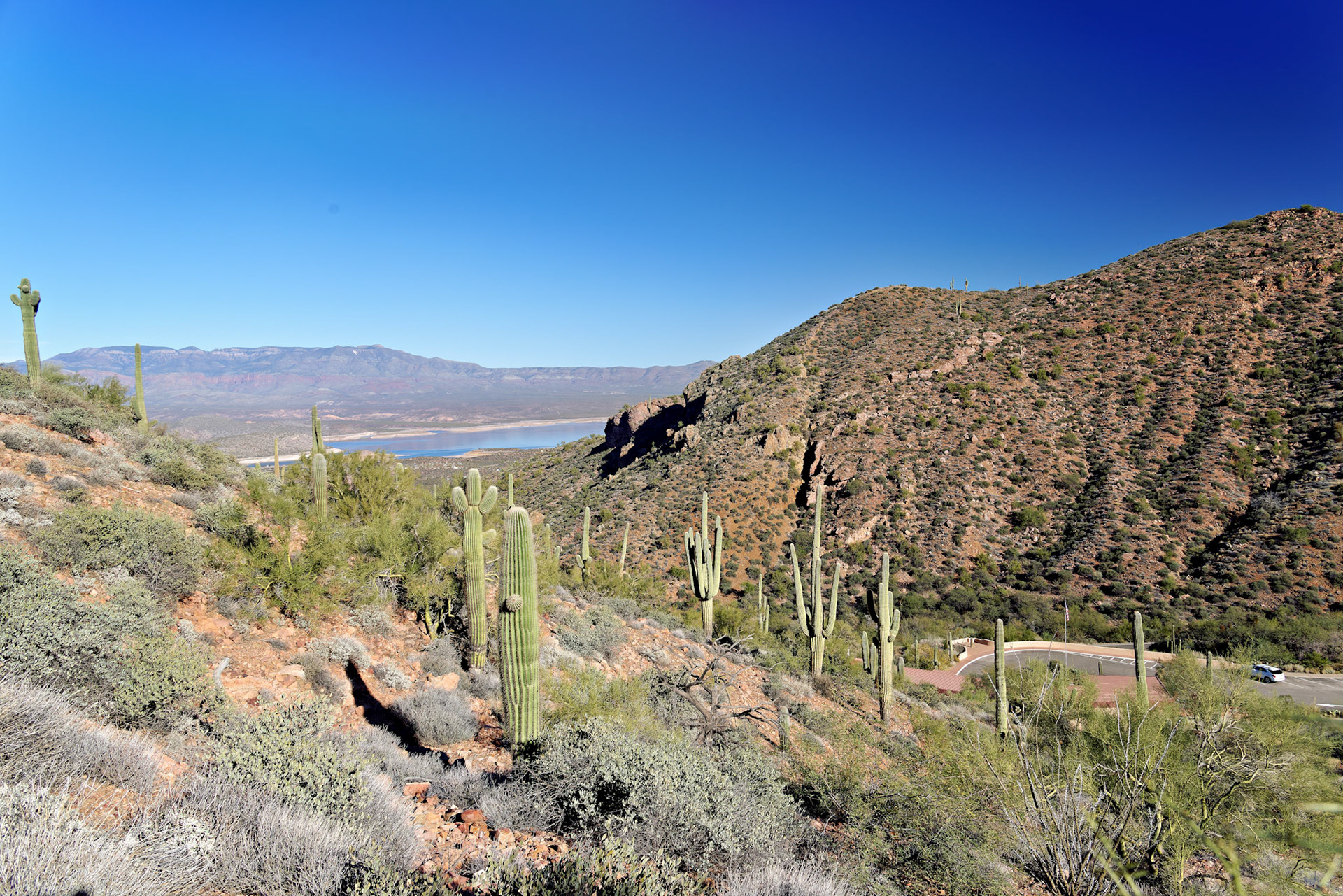 AZ_20121210_0408_PS.dng