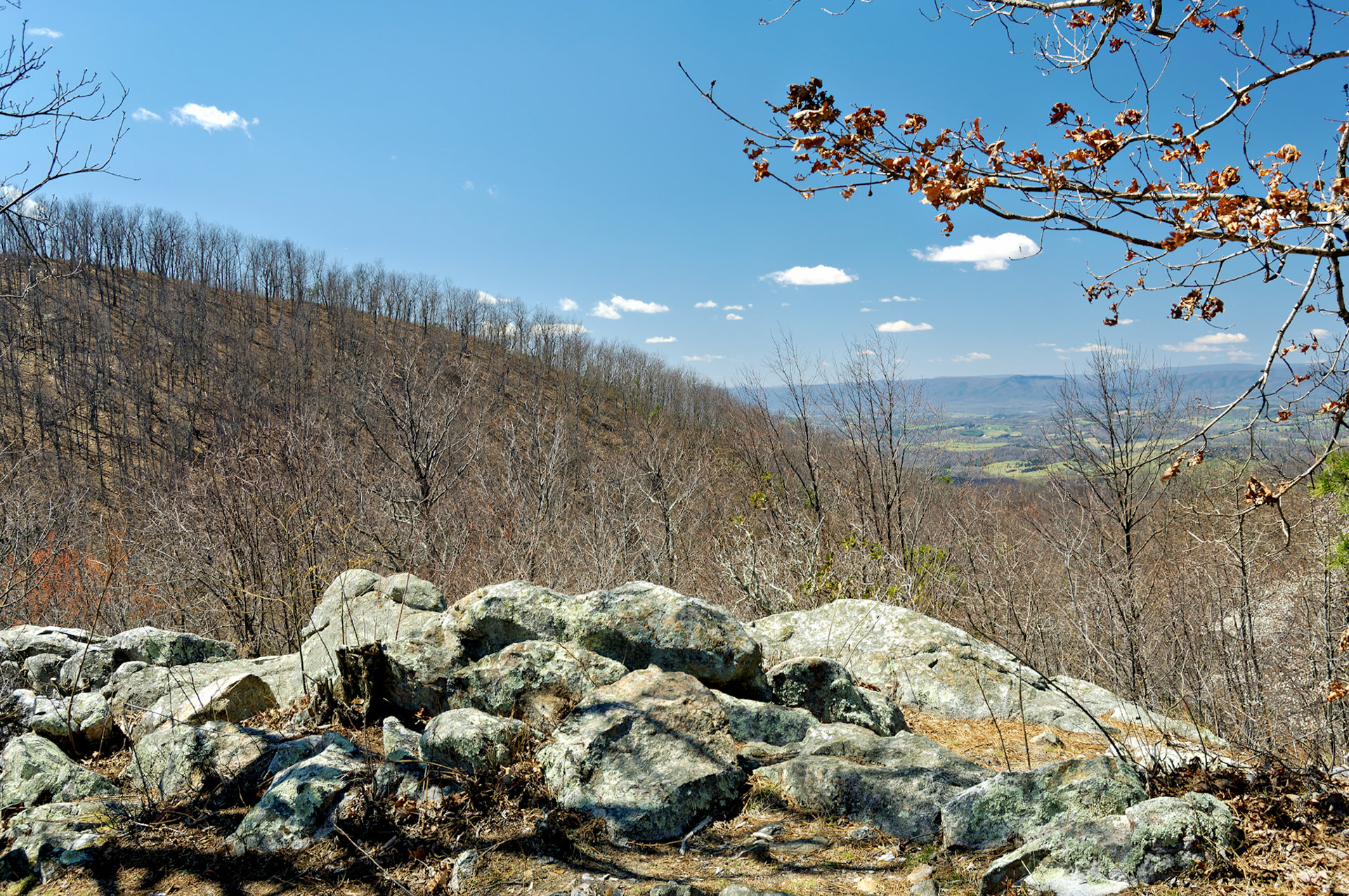 VA_BlueRidge_20060405_0094_PS