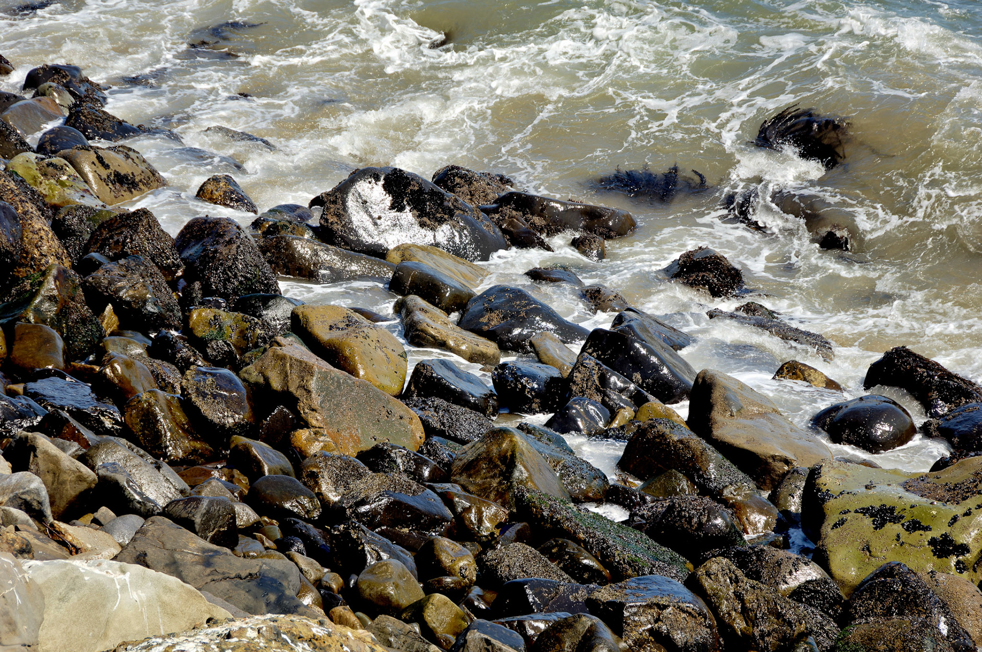 CA_LA_20060504_0328_PS