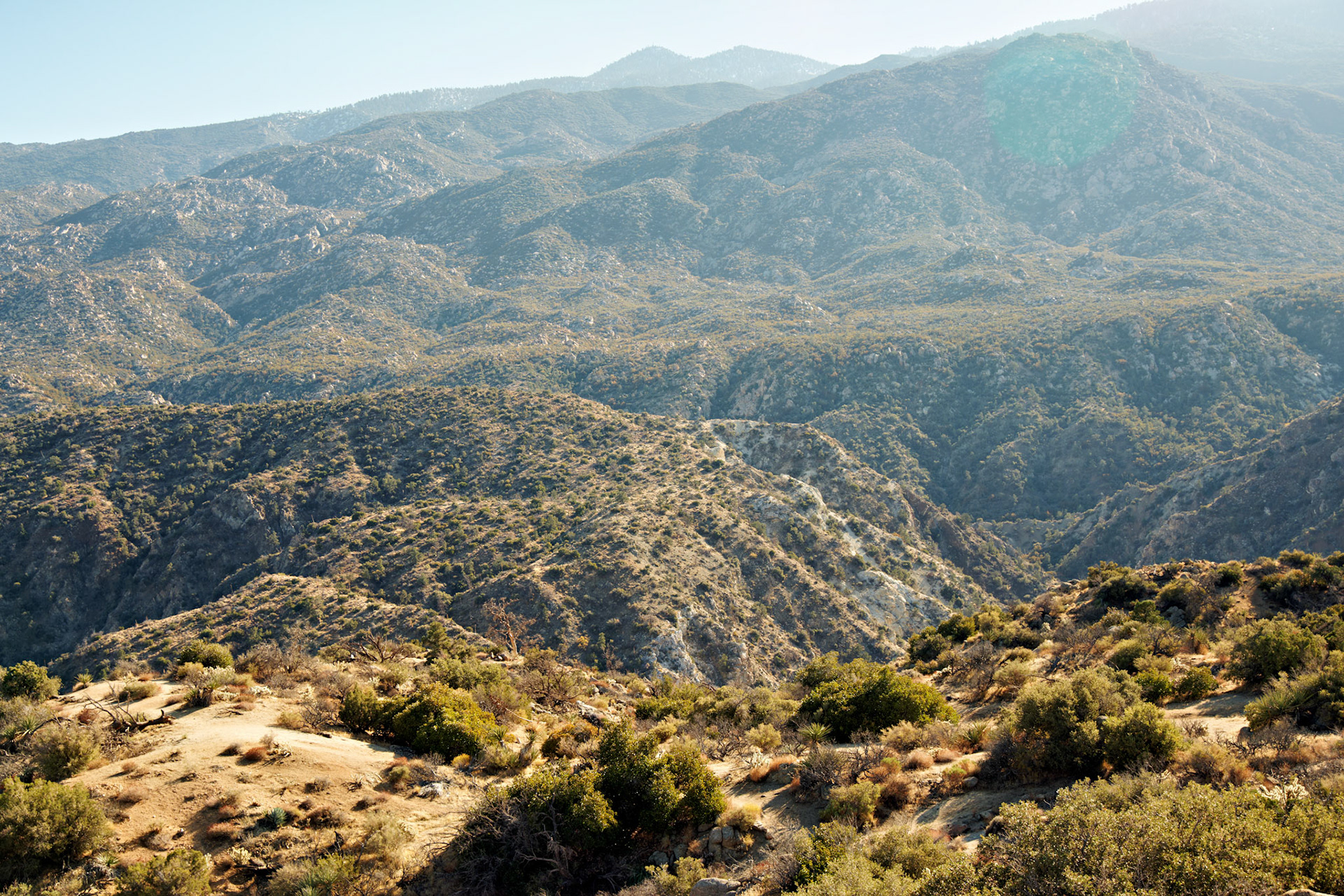 CA_PalmSprings_20111116_0426_PS