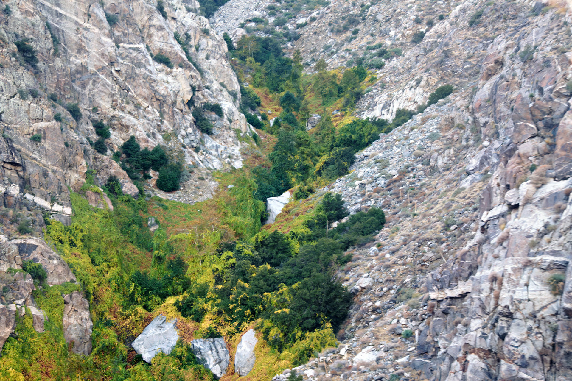 SONY DSC