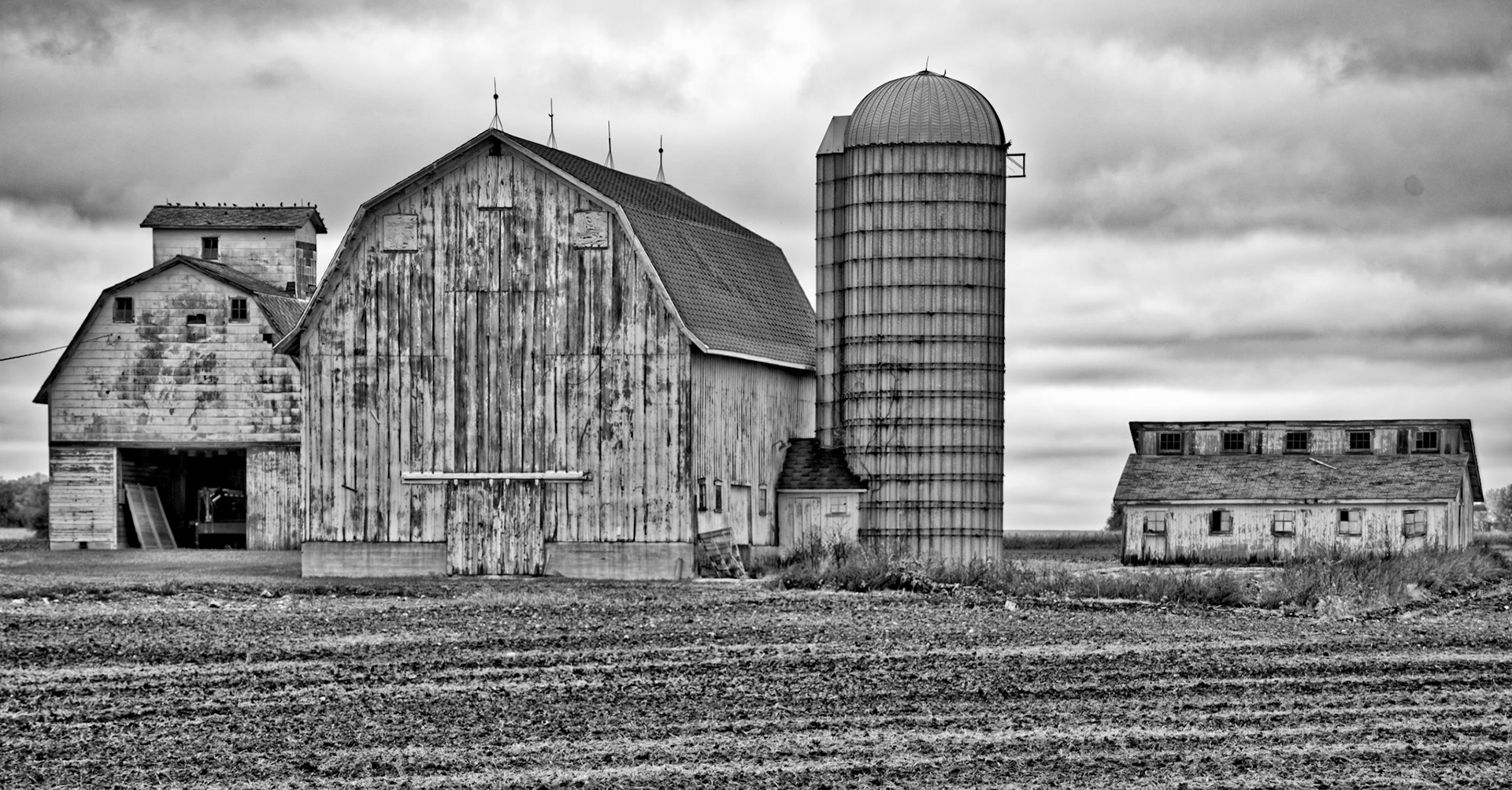 BW_20141016untitled20141016-_DSC2099_DxO