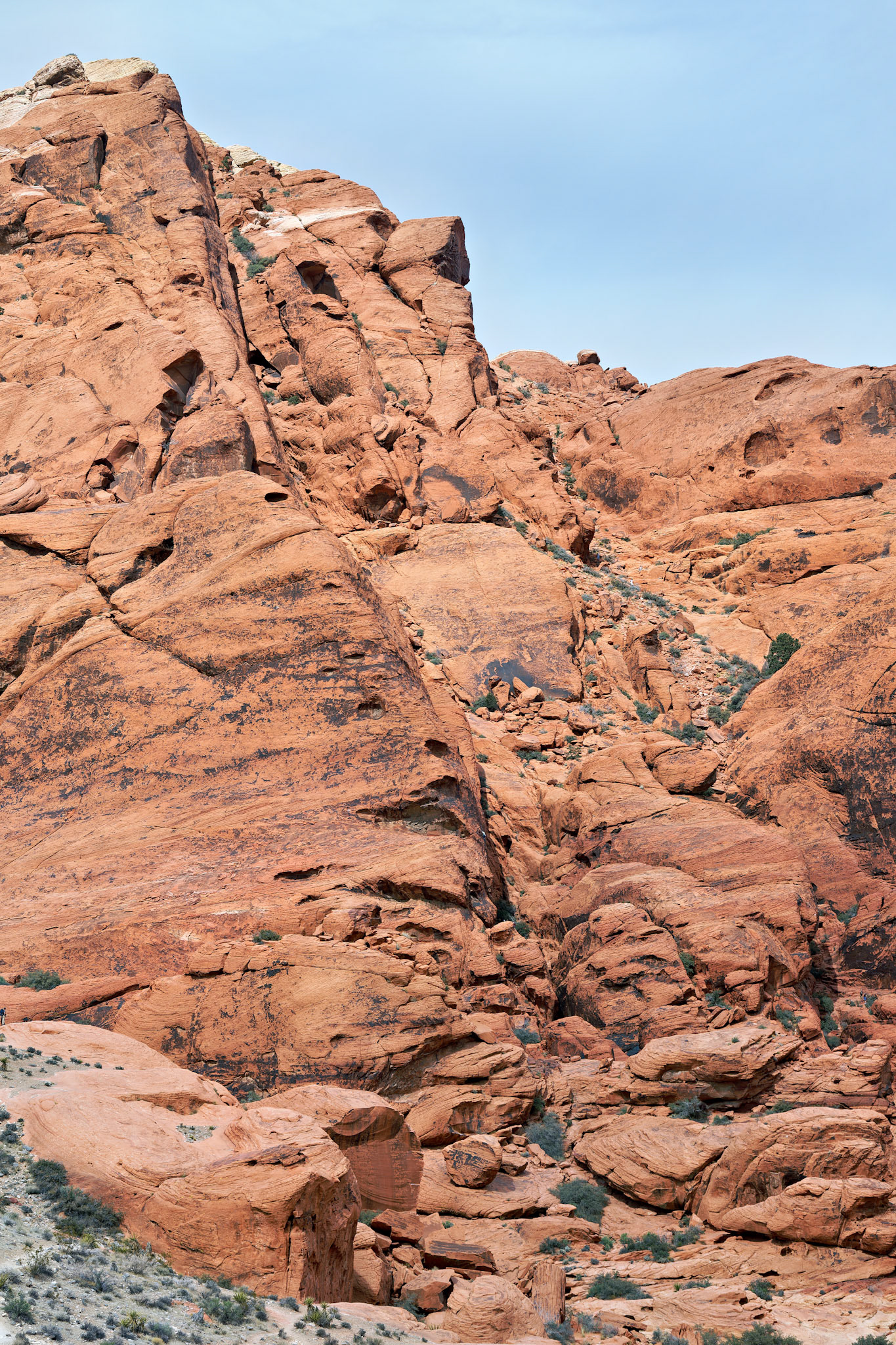 NV_Deserts_20120312_0054_PS