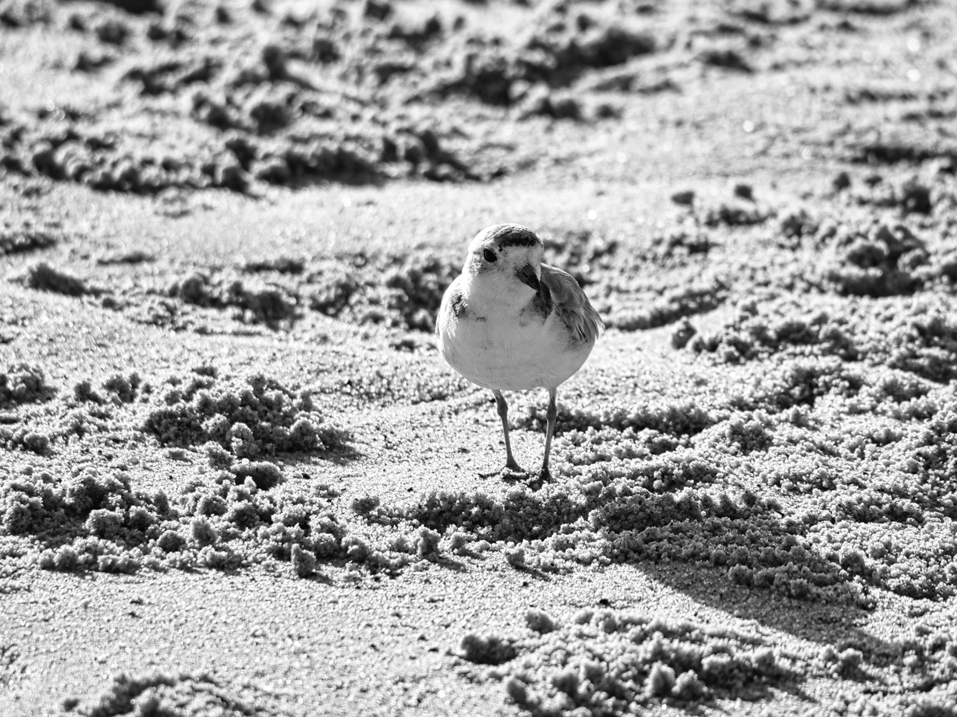 BW__1005324__LU-BW