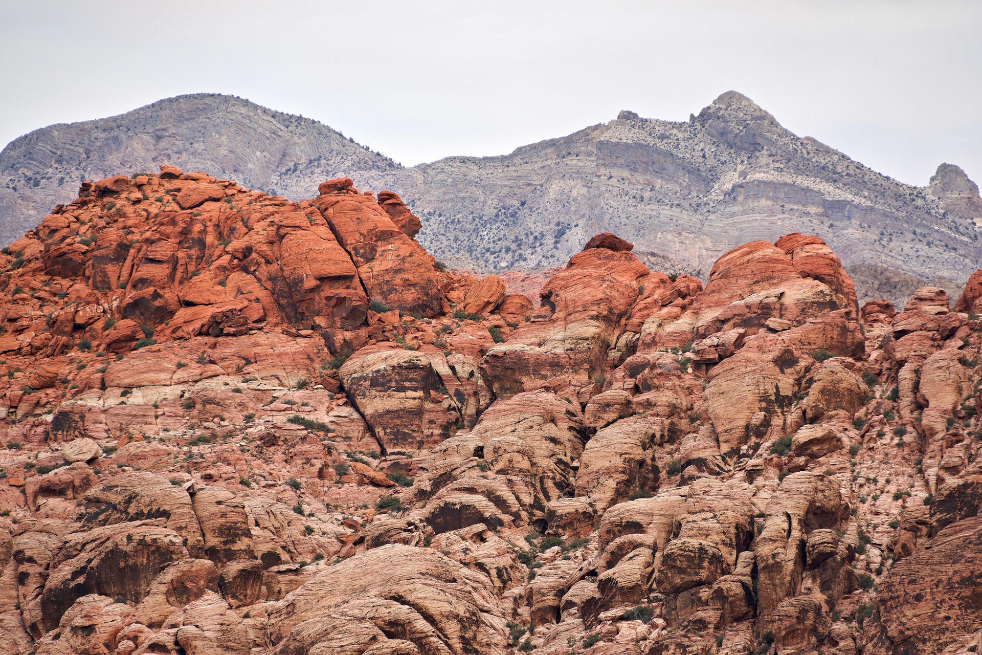 NV_Deserts_20120312_0026_PS.tif