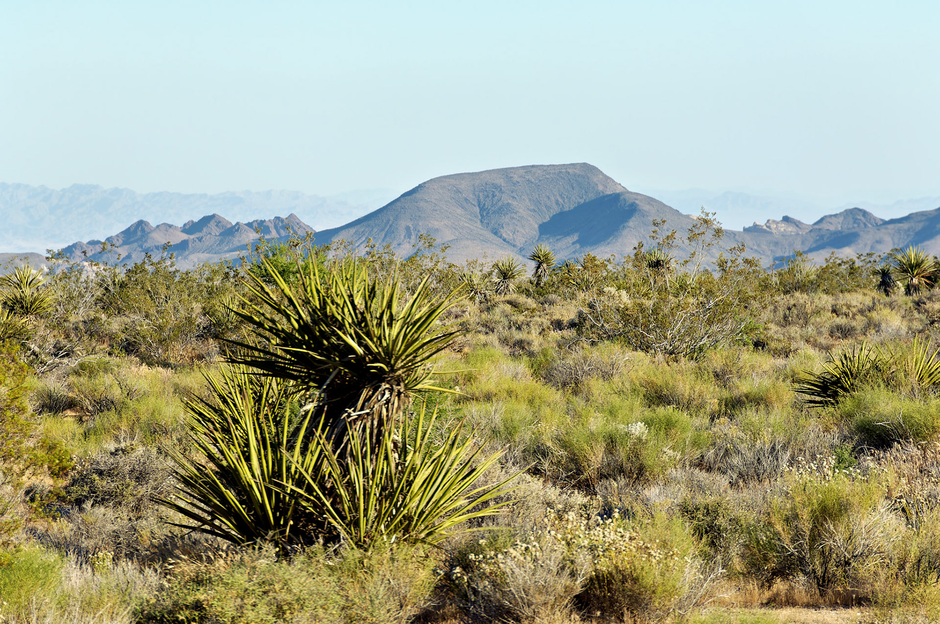 CA_20050614_0203_PS