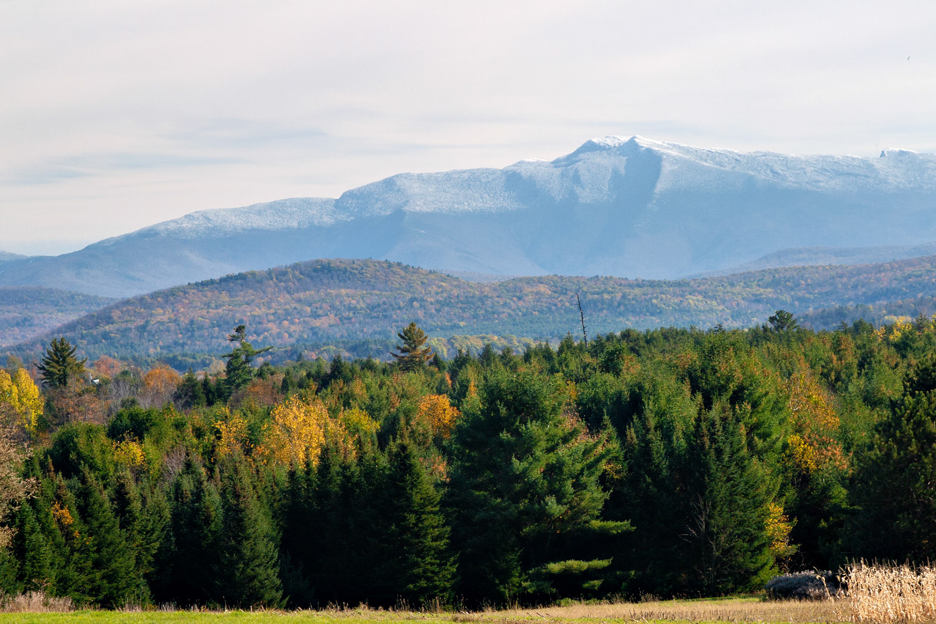 VT_20021030_0087_PS