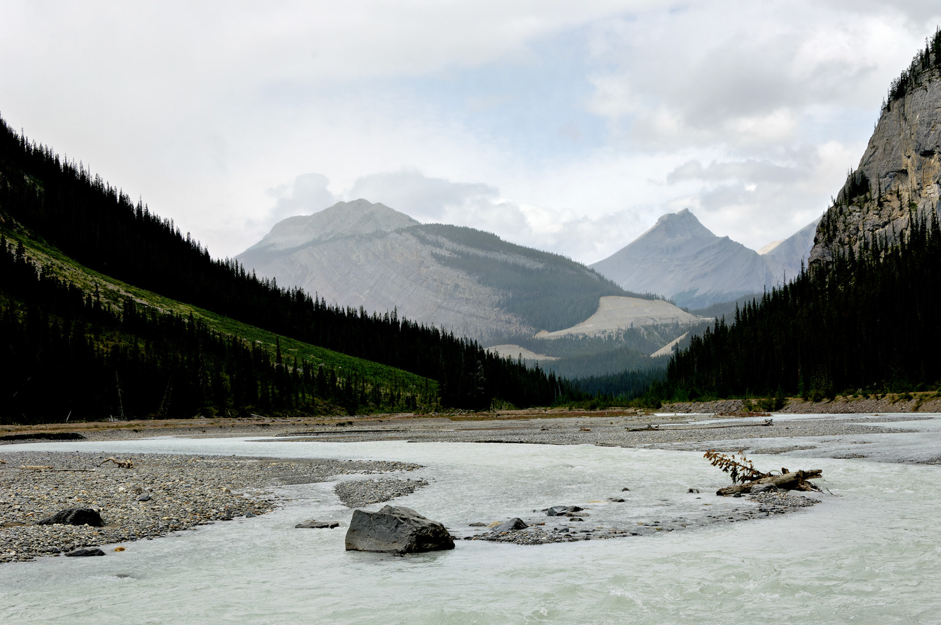 CN_20060802_0201_PS