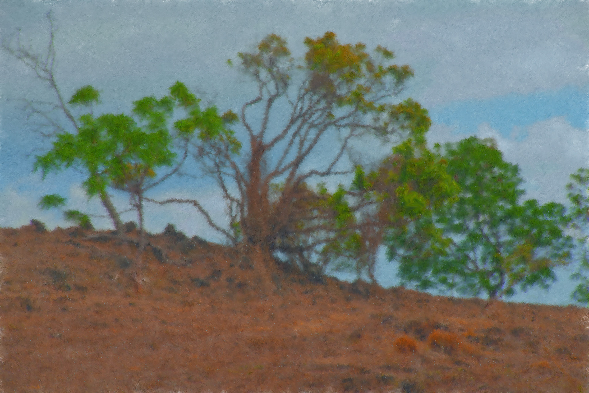 Painting__DSC6851Imp