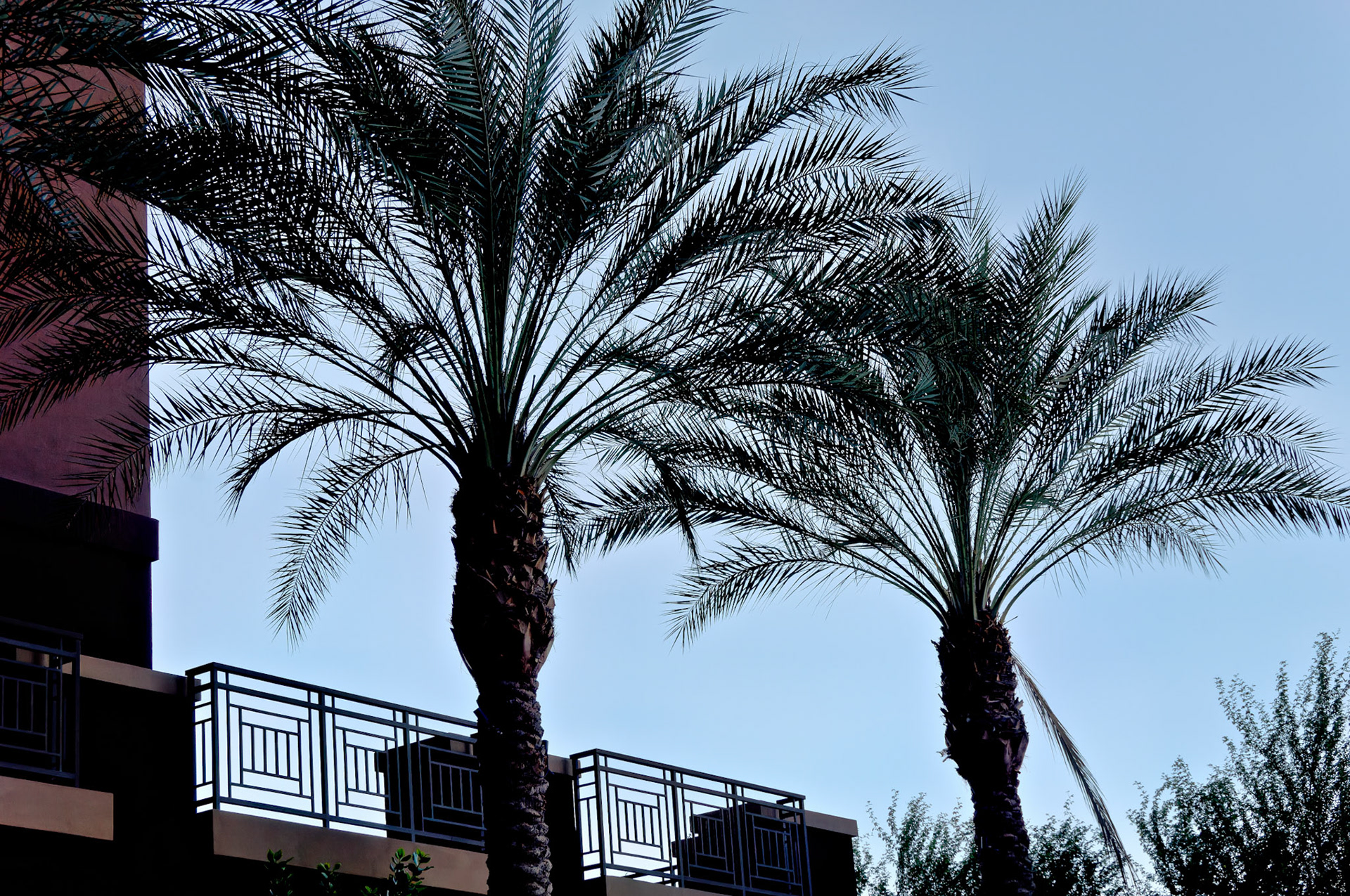 AZ_20060916_0039_PS