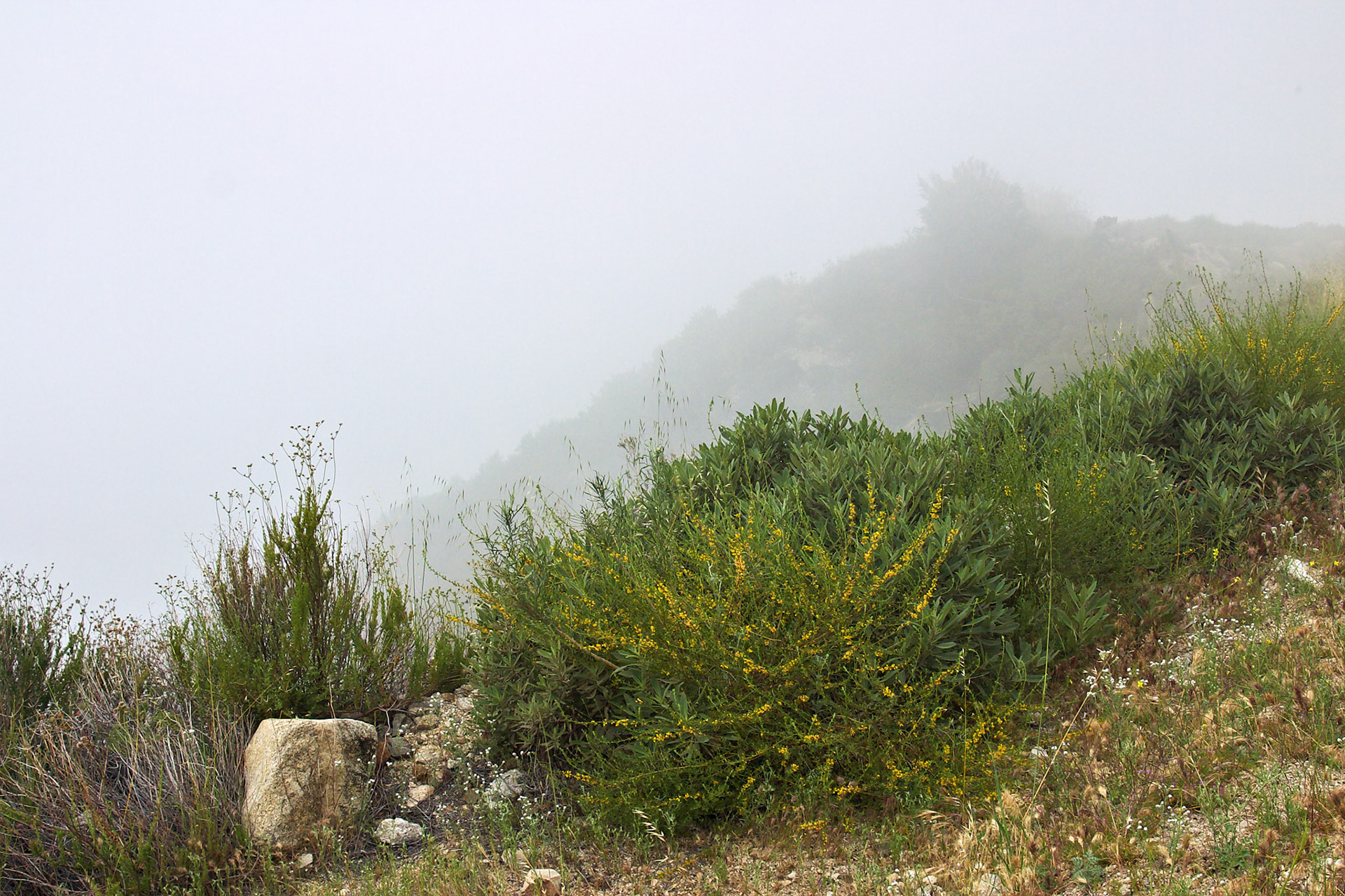 CA_LA_20030514_0031_PS.dng
