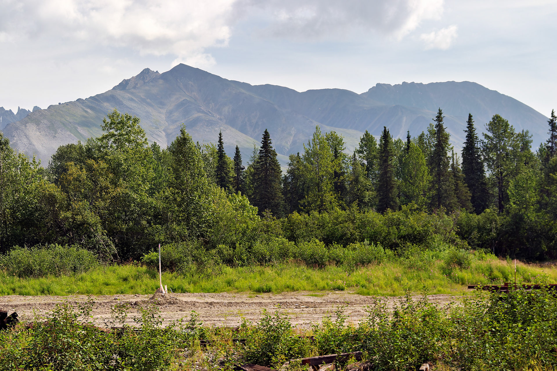 AK_20030807_0812_PS.dng