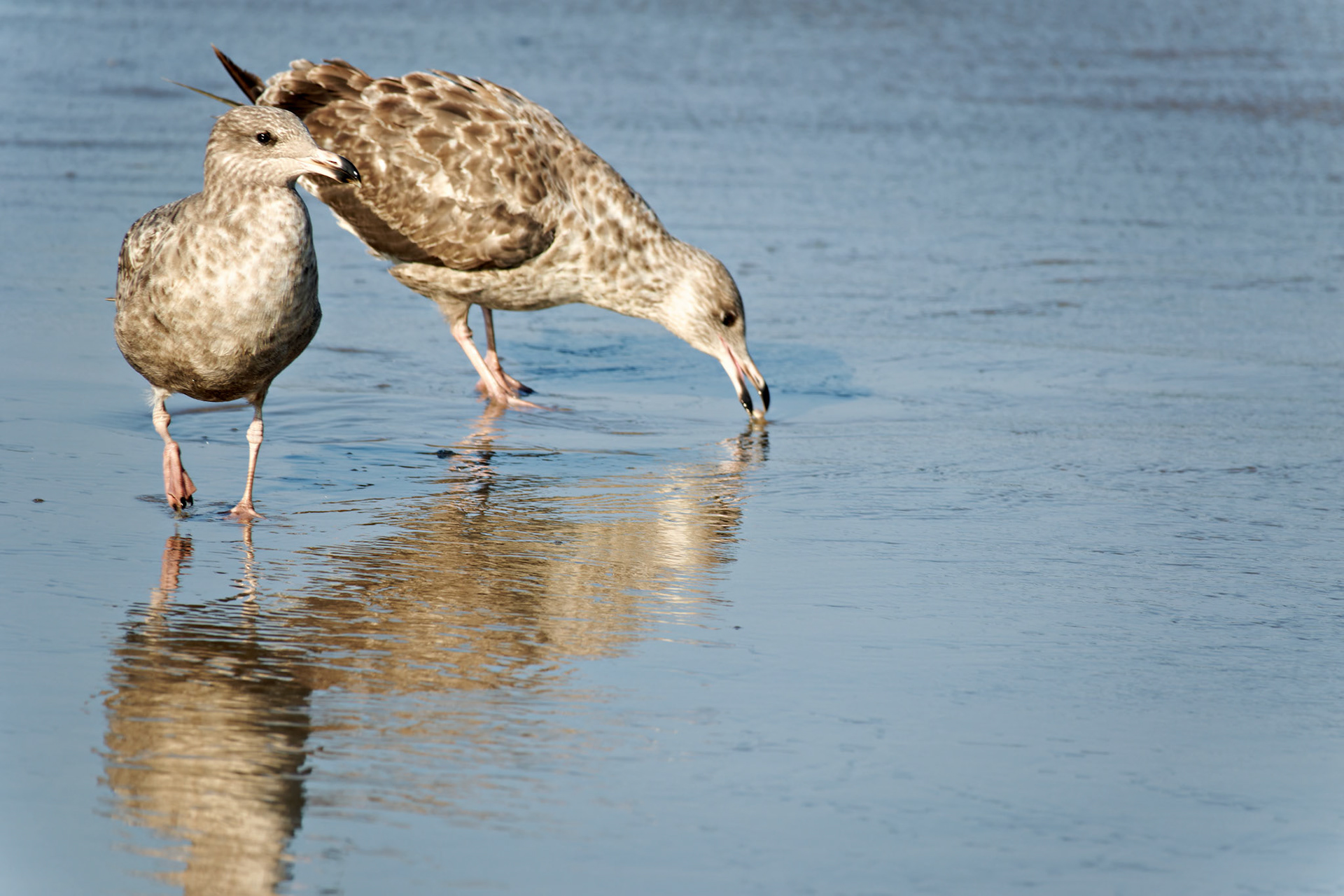 NJ_Shore_20170809_0021_PS