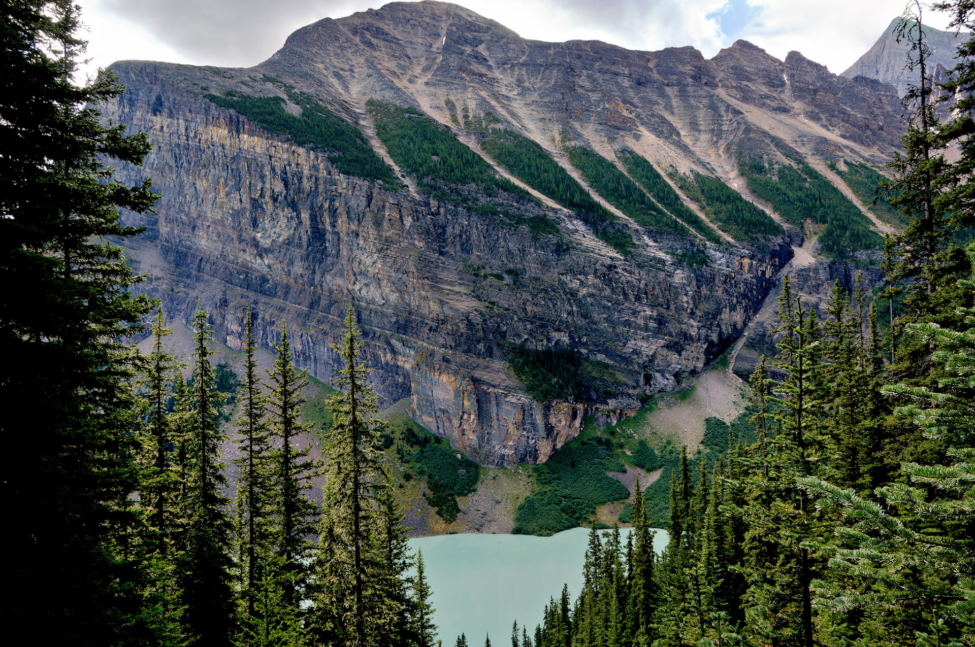 CN_20060801_0480_PS