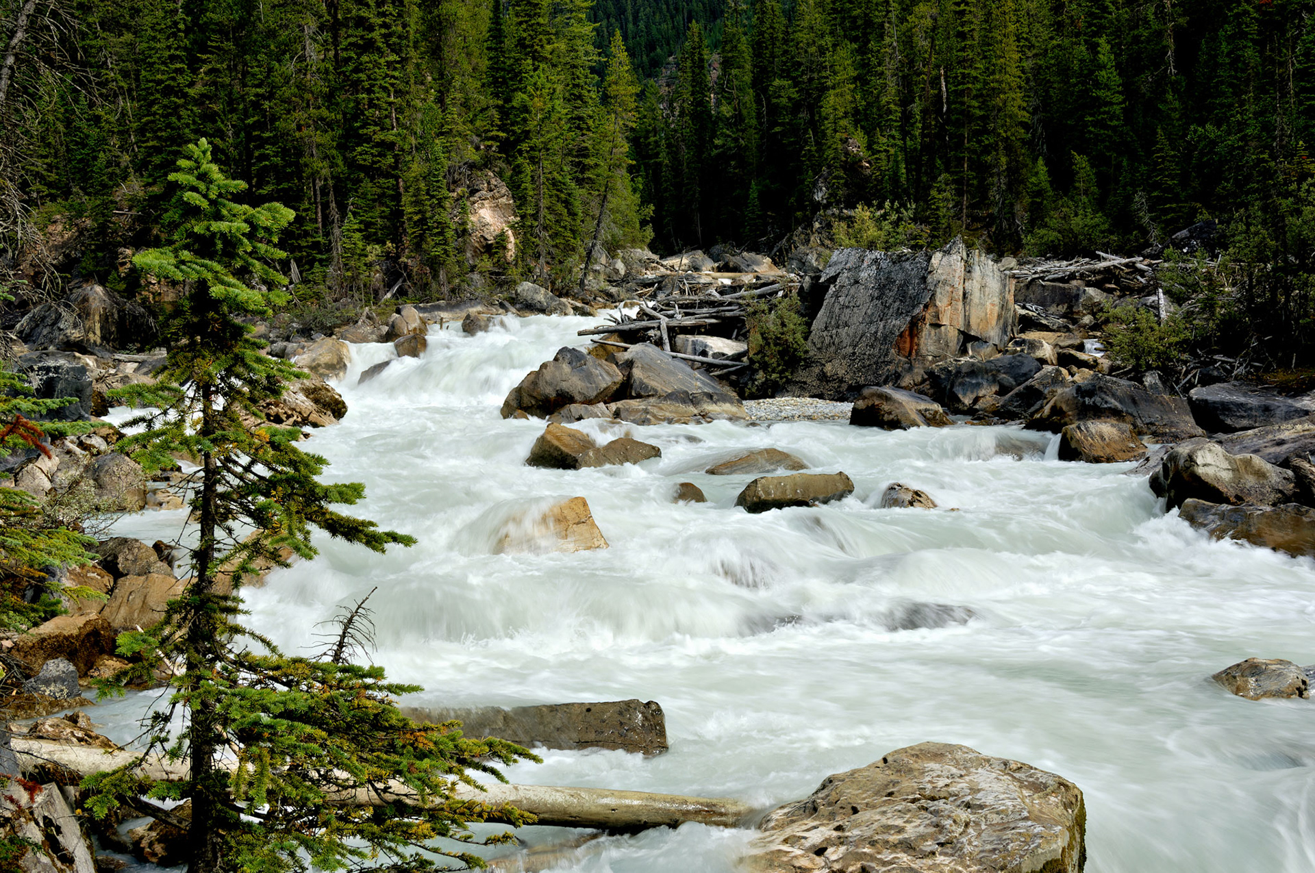 CN_20060803_0311_PS