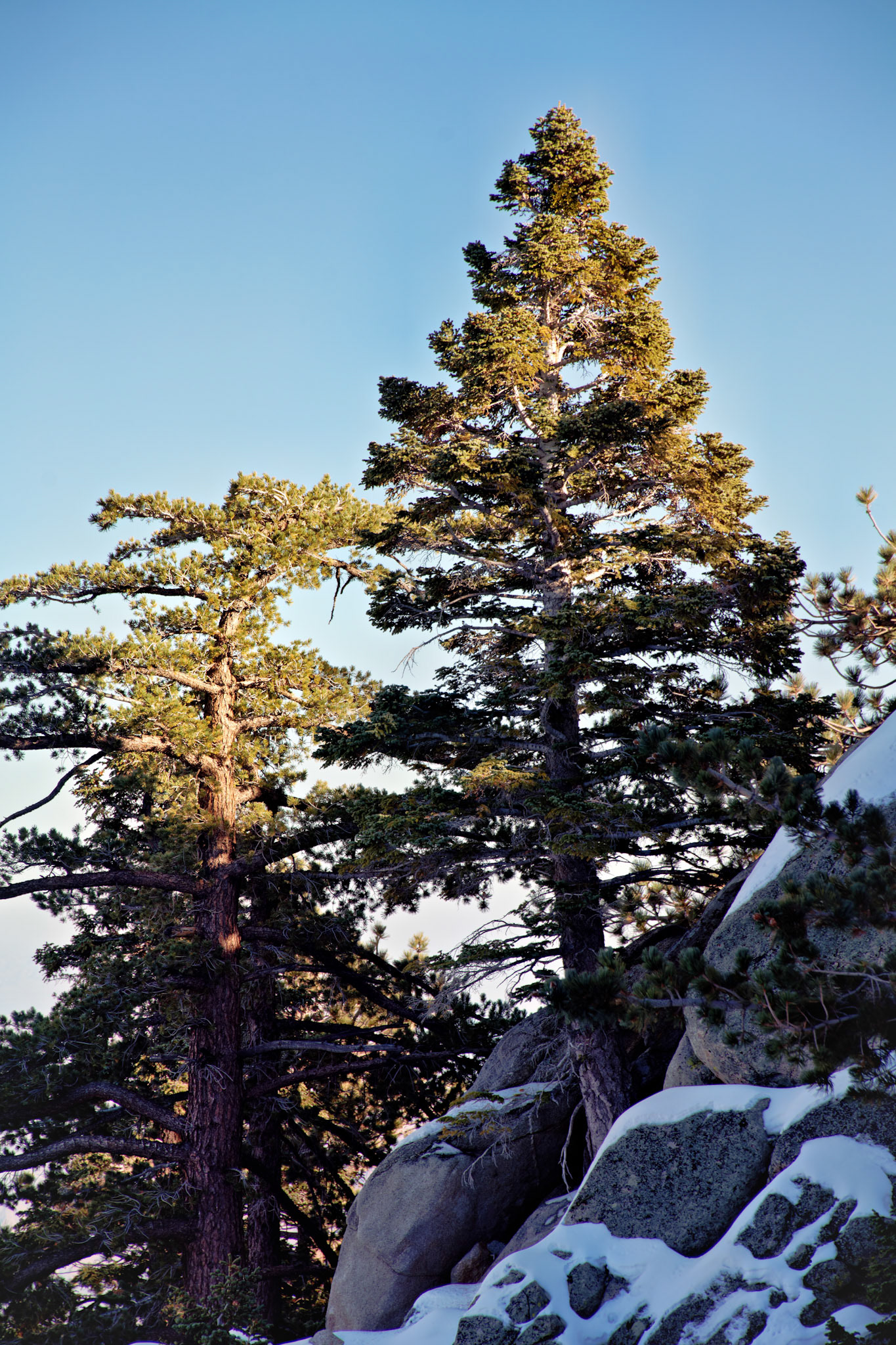 CA_PalmSprings_20111115_0352_PS