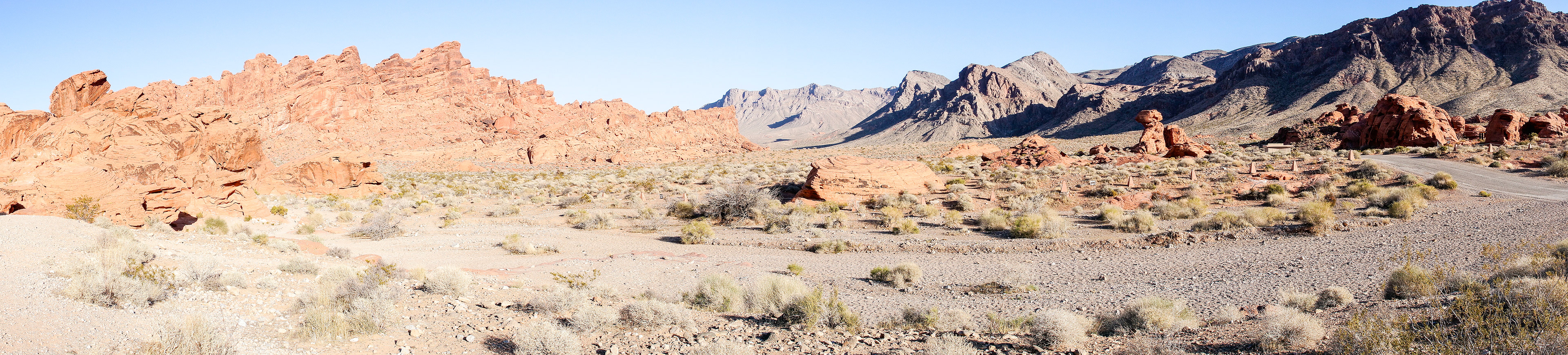 NV_Deserts_20120313_0263_PS